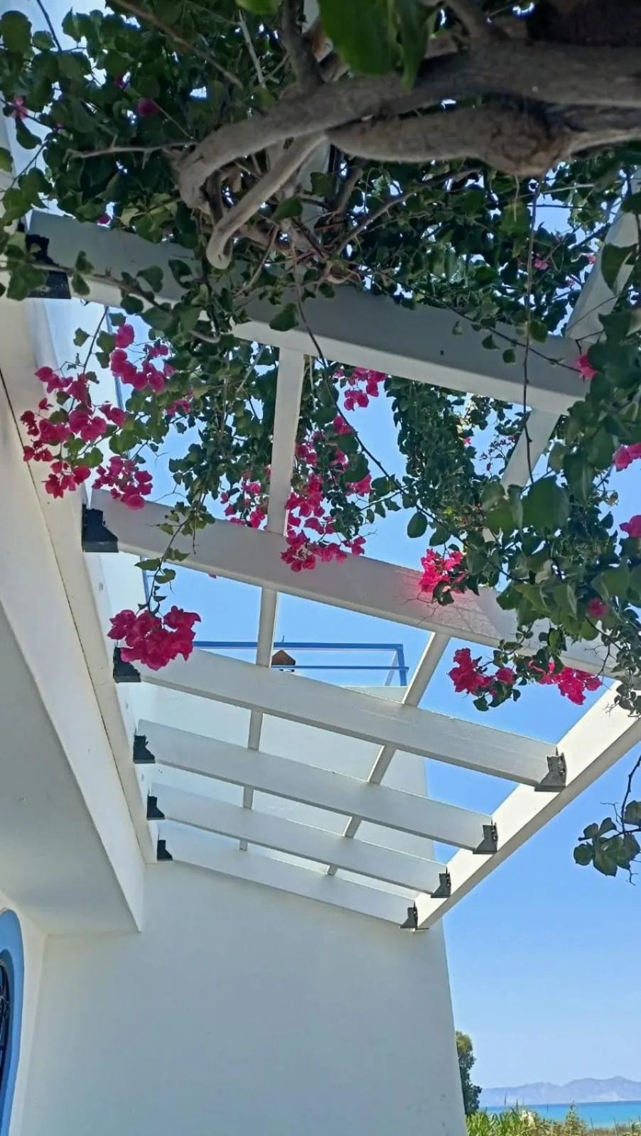 Spring in Nautilus Beach House