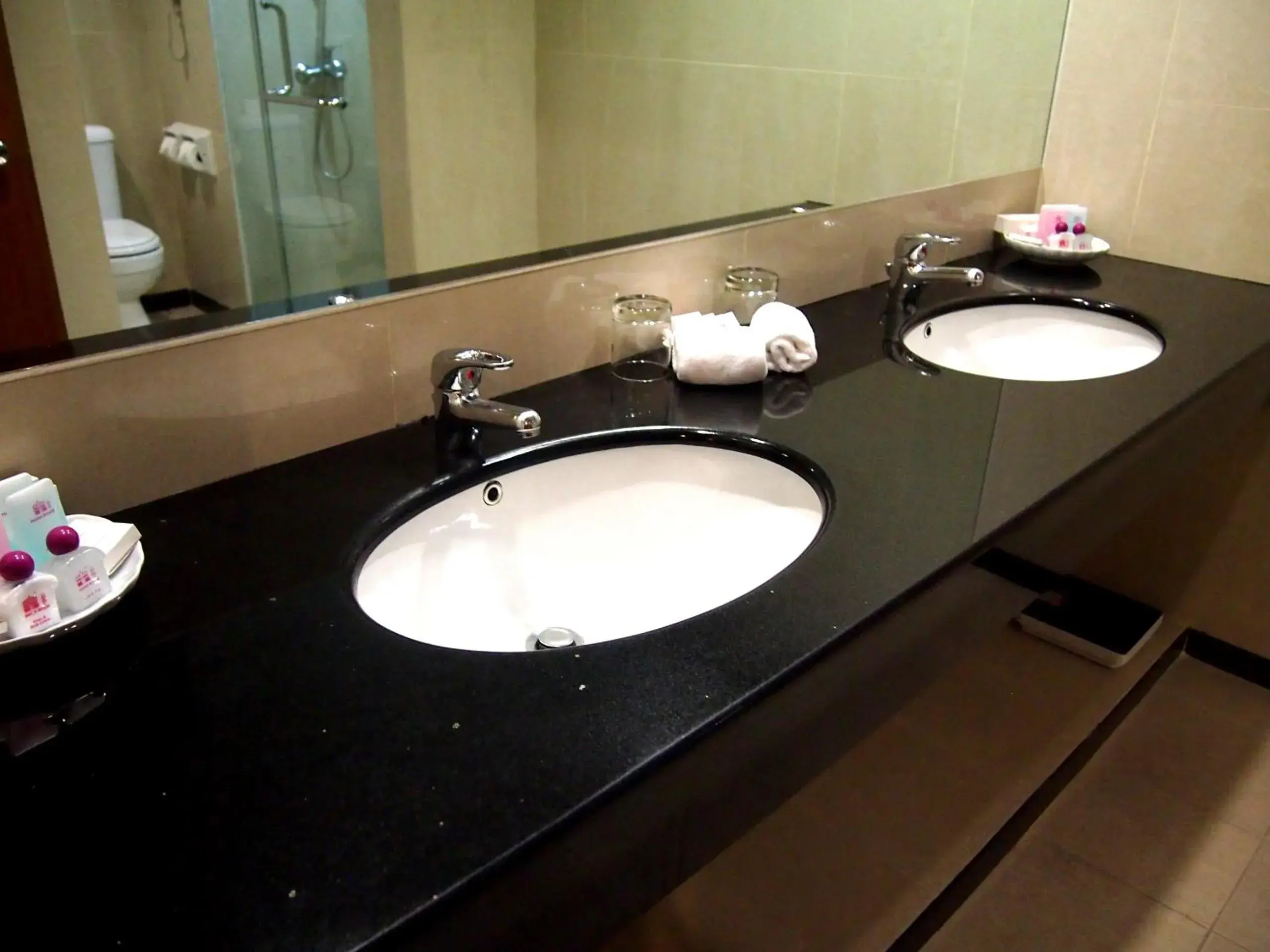 Bathroom in Hotel Royal Bathroom in Hotel Royal