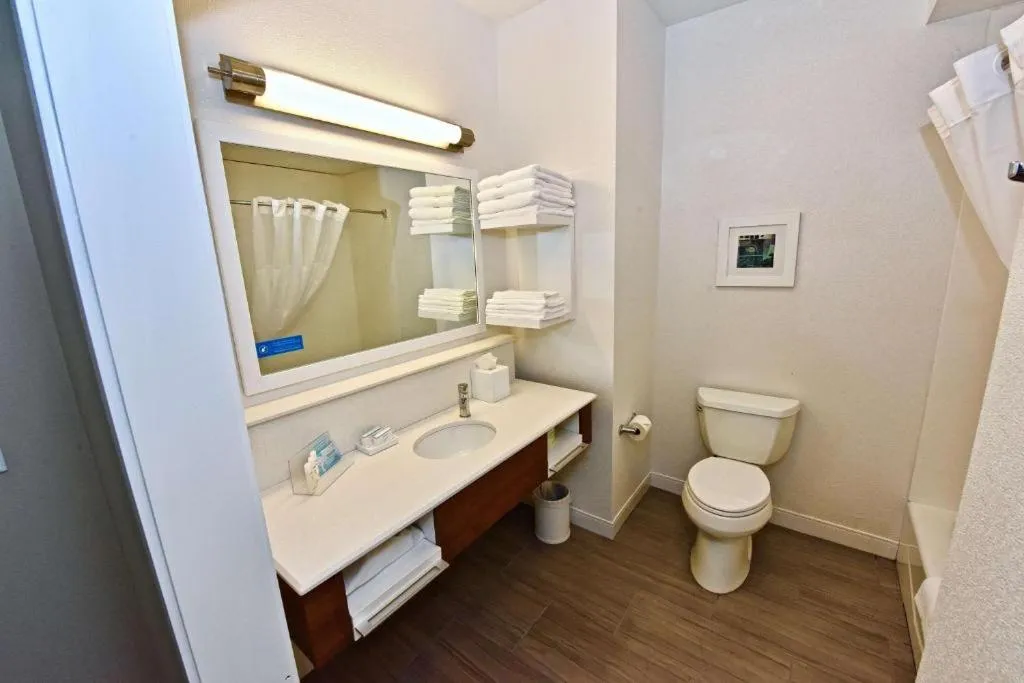 Bathroom in Hampton Inn By Hilton Kirksville MO