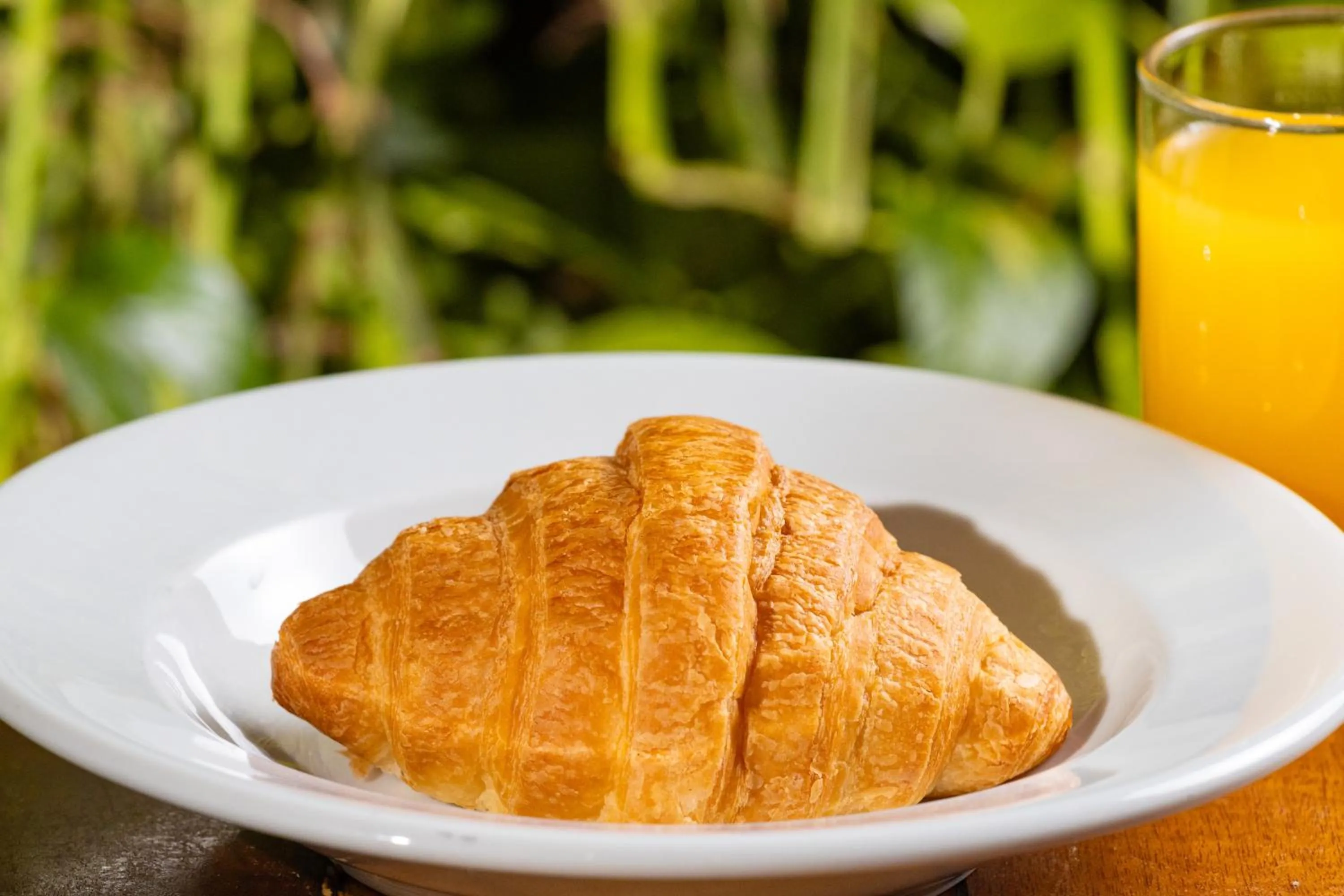 Restaurant/places to eat in Pousada da Terra