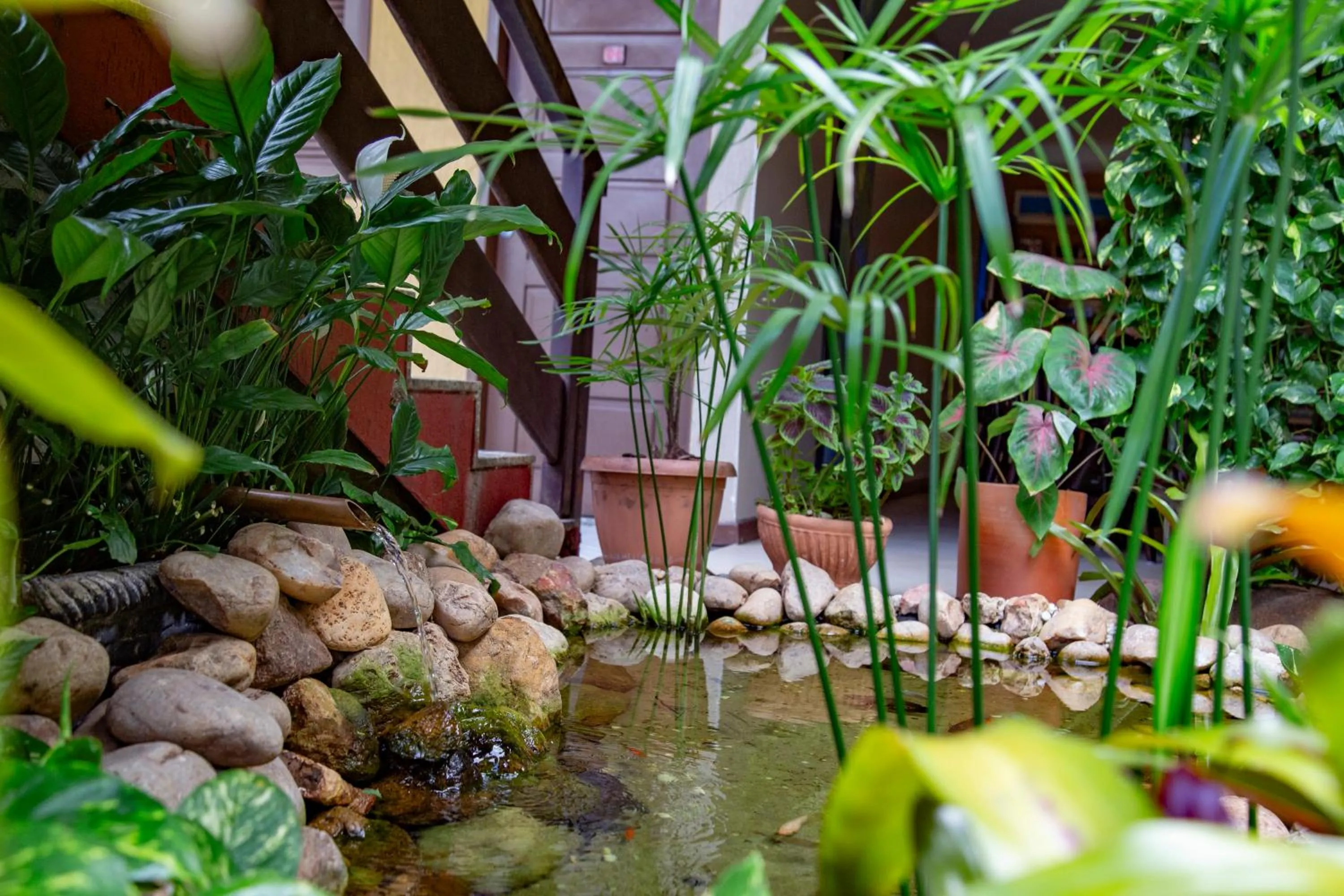 Garden in Pousada da Terra