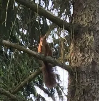 chambres d'hotes saint hubert