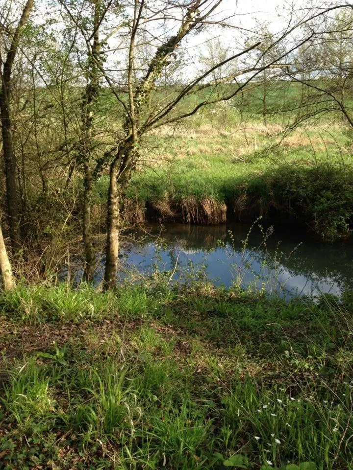 chambres d'hotes saint hubert