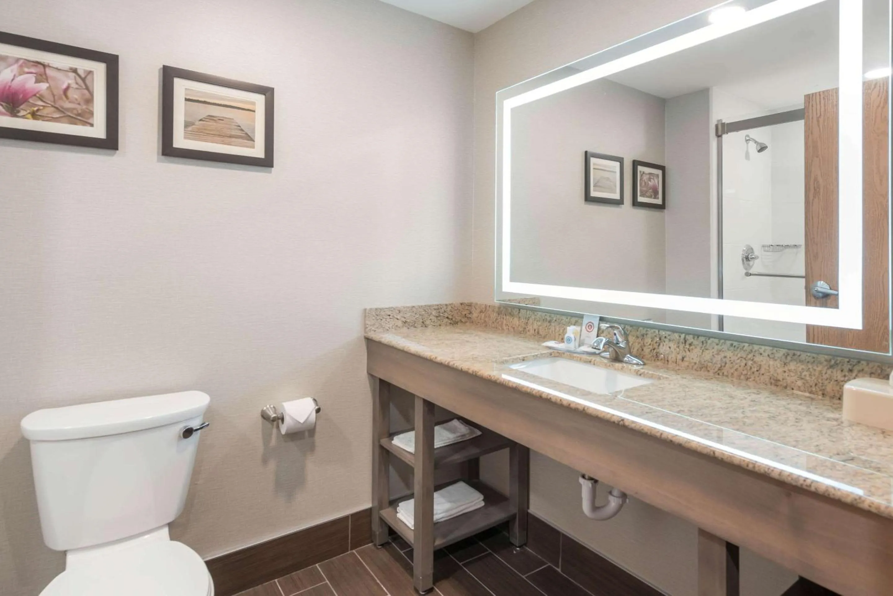 Bathroom in Comfort Inn Grove City - Columbus South