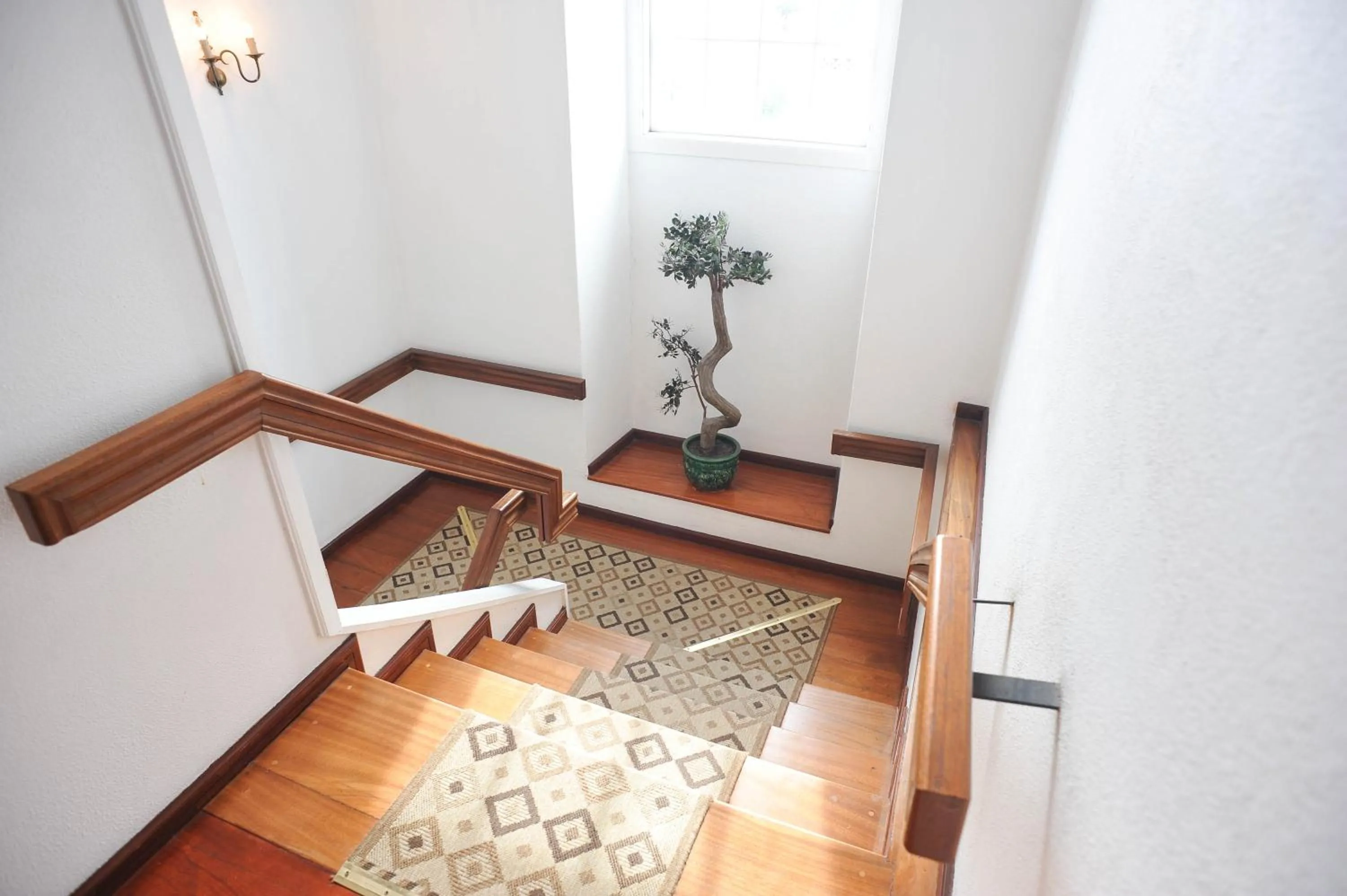 Area and facilities in Hotel São Francisco