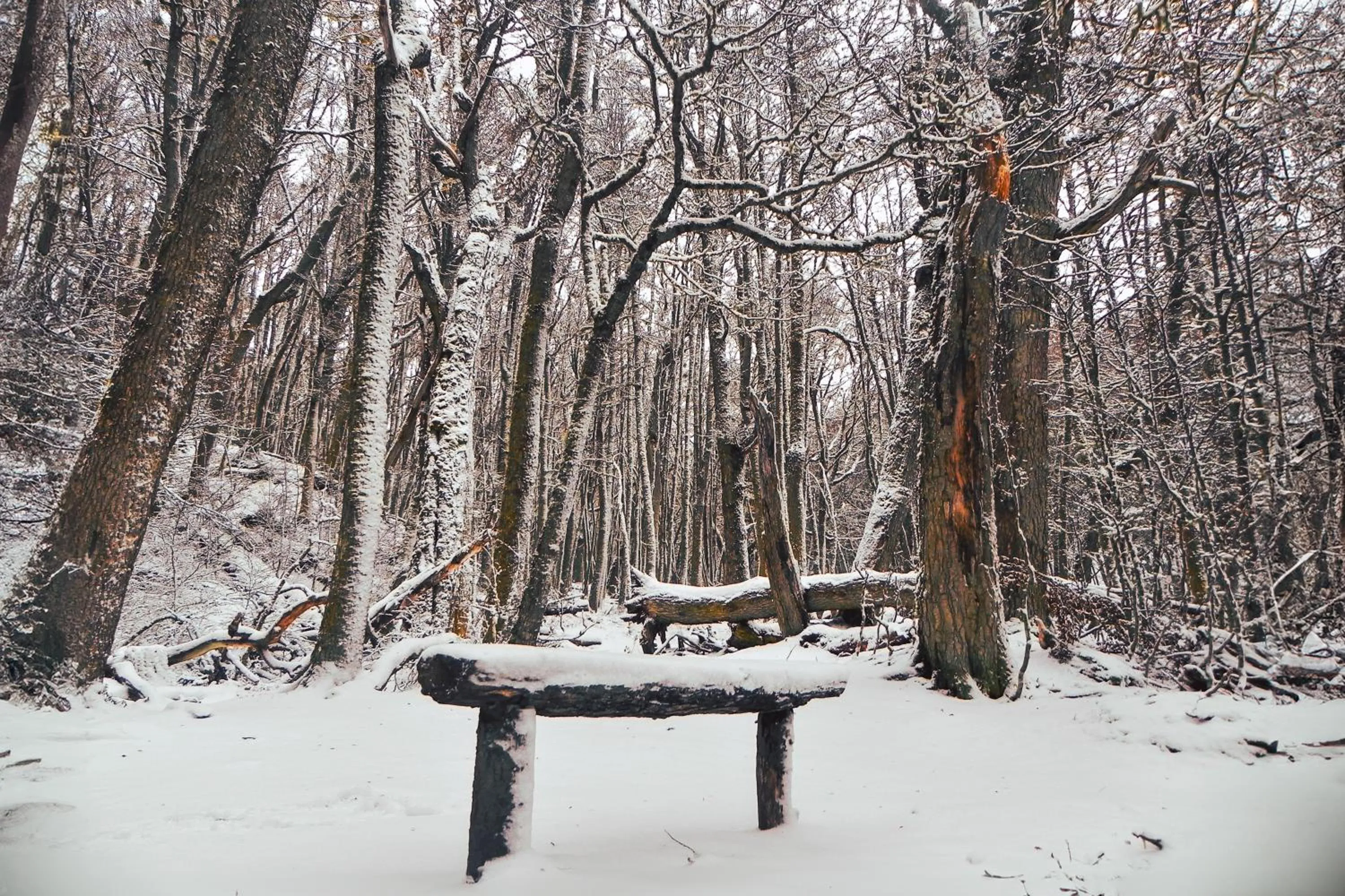 Natural landscape in Wyndham Garden Ushuaia Hotel del Glaciar