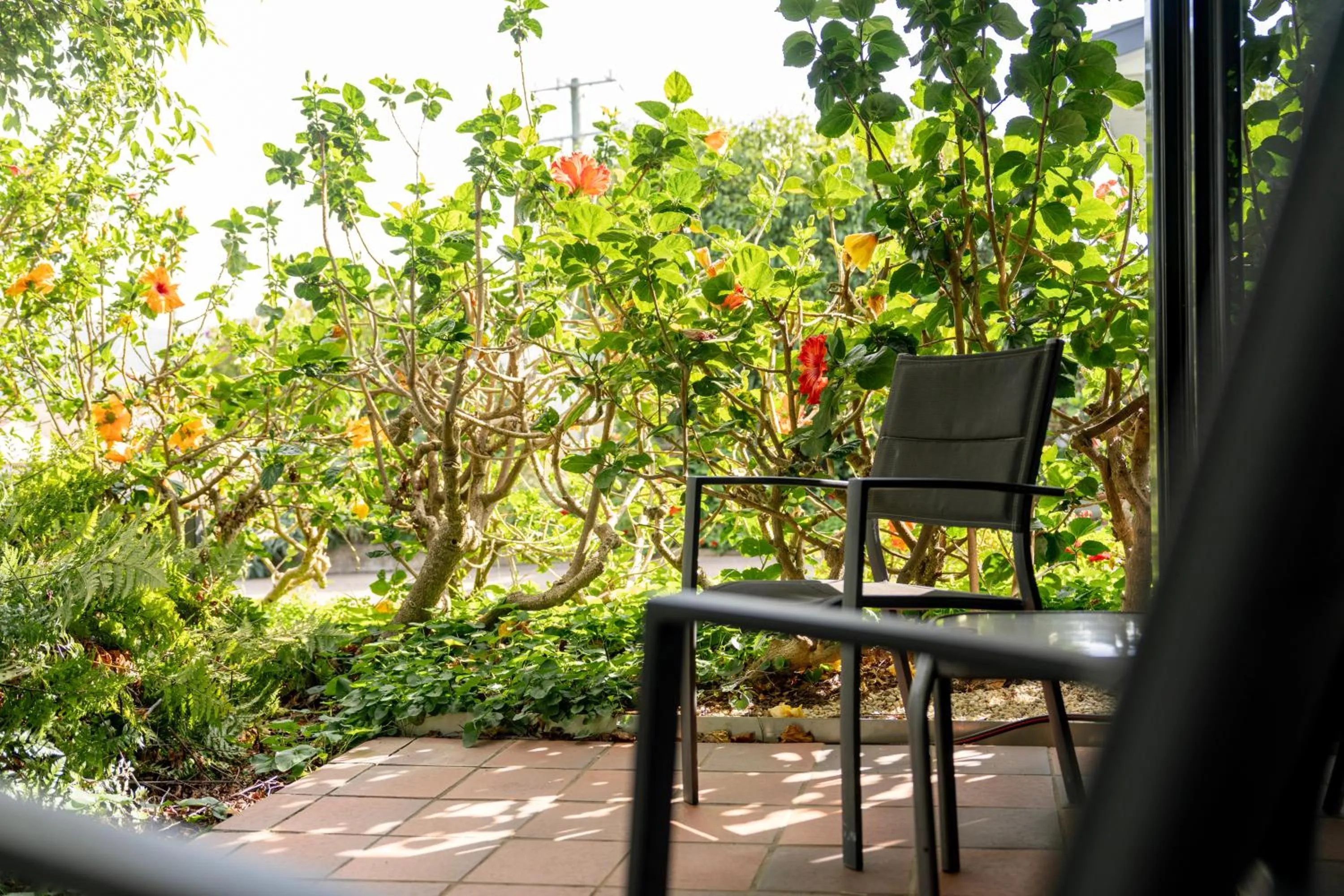 Patio in Sea Spray Motel - Merimbula