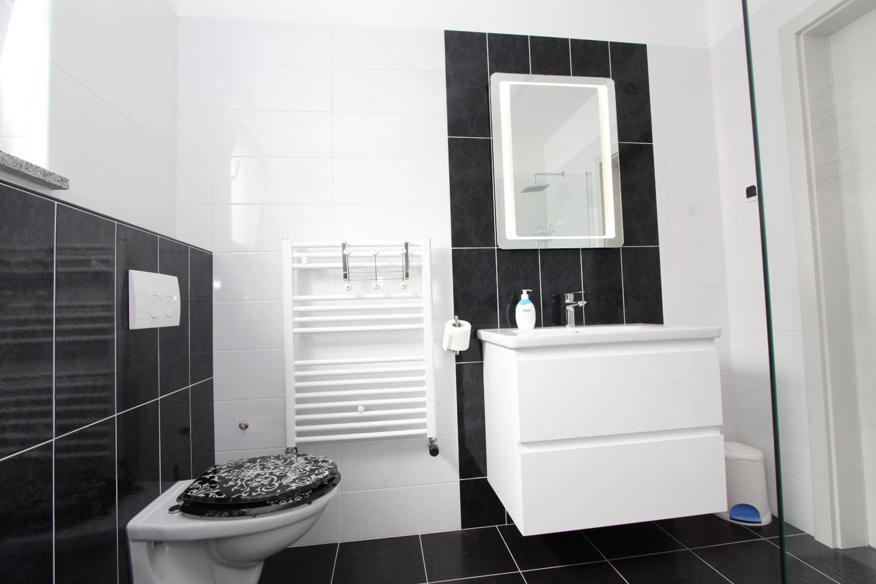 Bathroom in Apartment Karlo 1