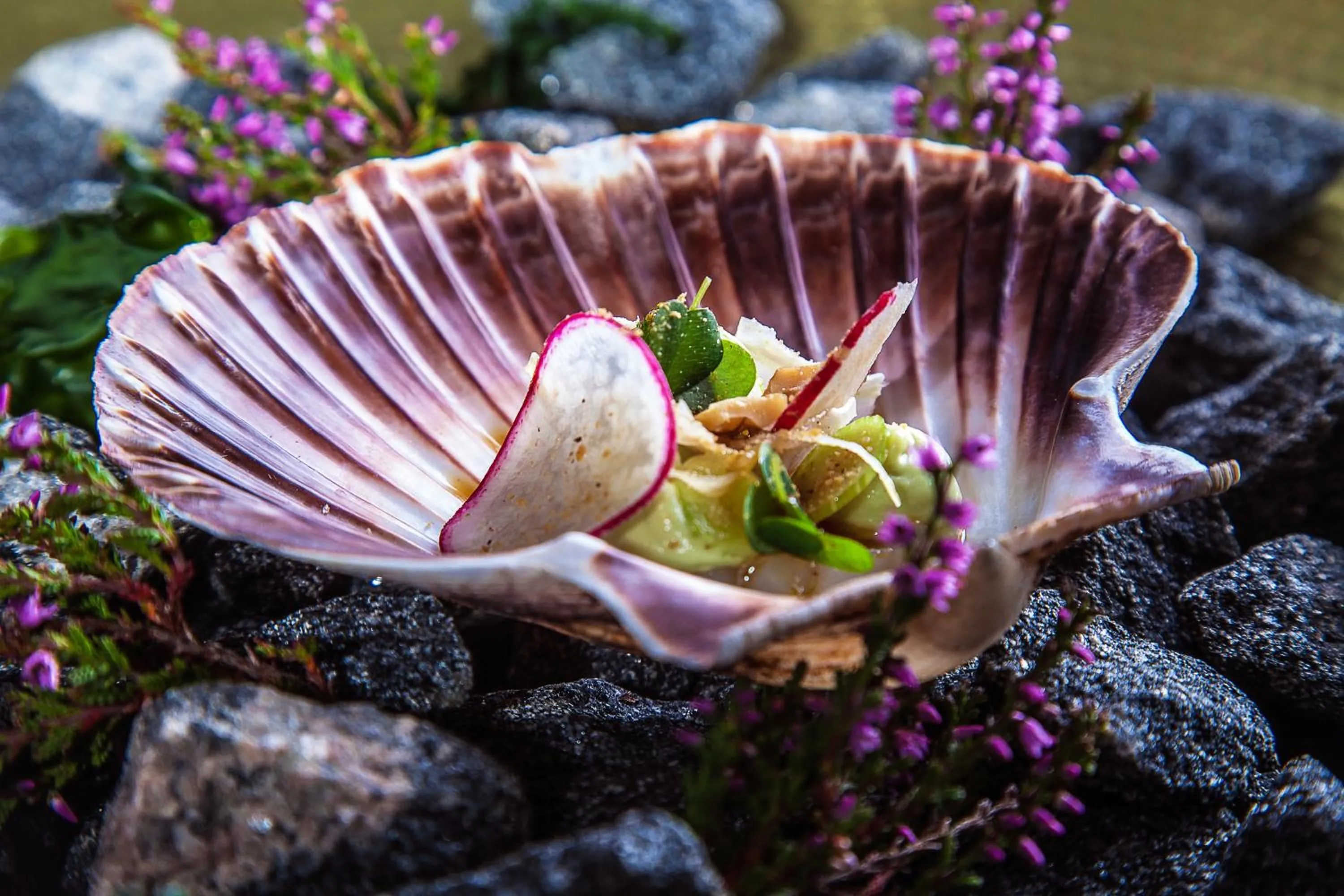 Food close-up in Lindesnes Havhotel