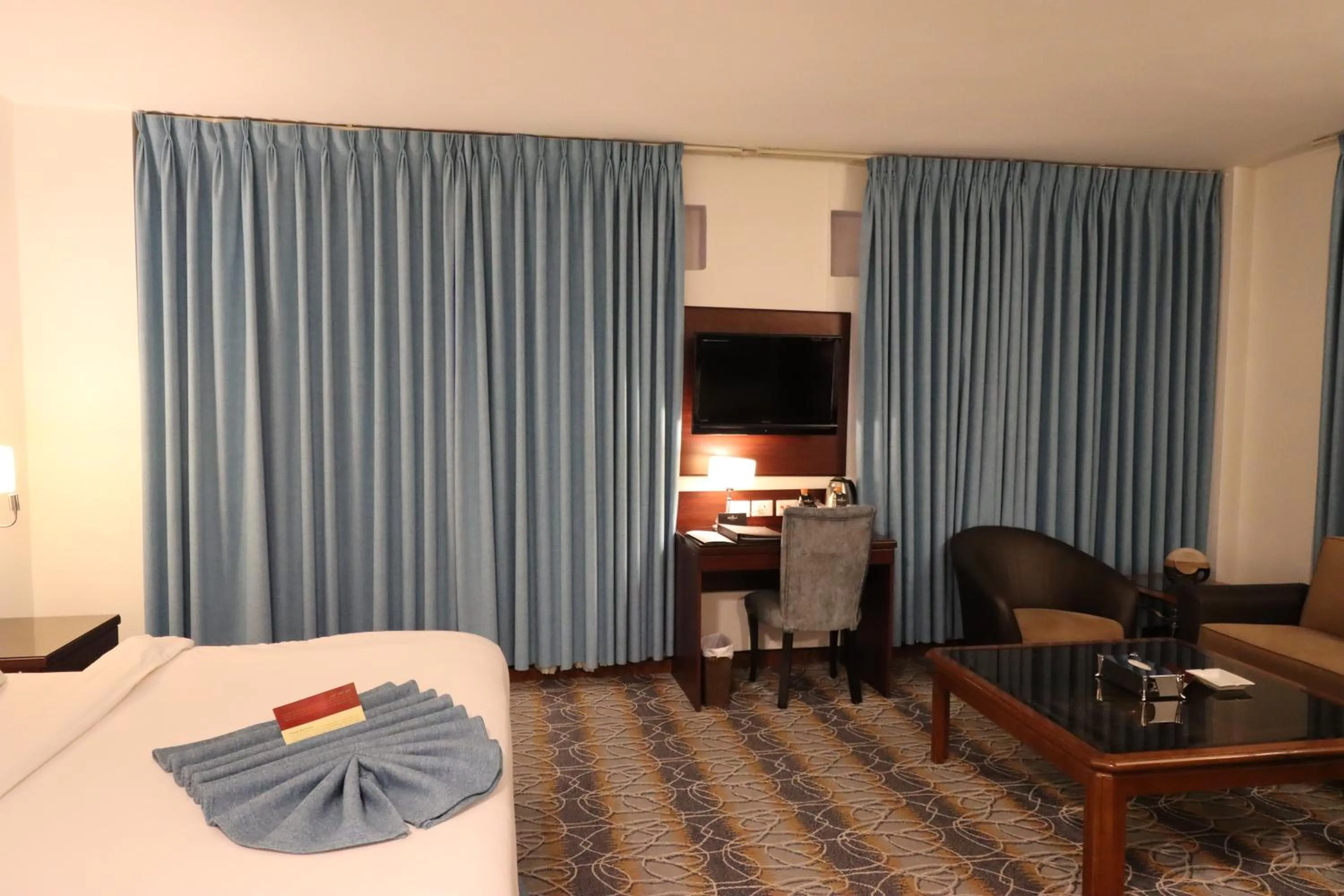 TV and multimedia in Larsa Hotel