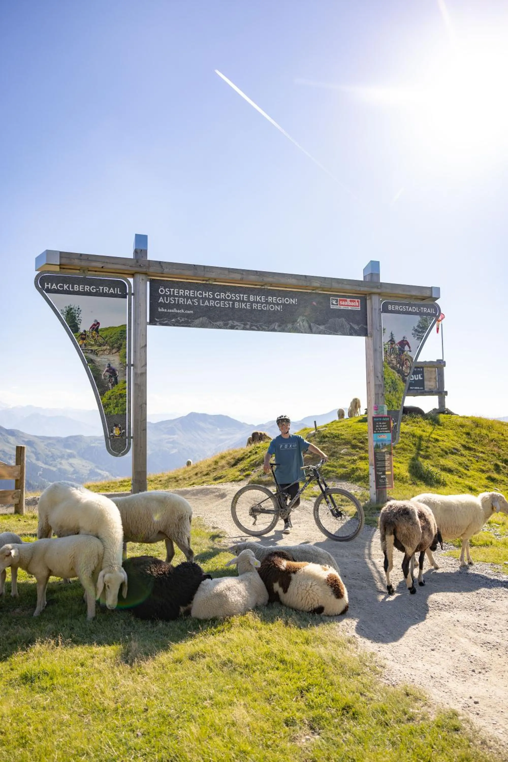 Cycling in Landhaus Saalbach - Ski in & out