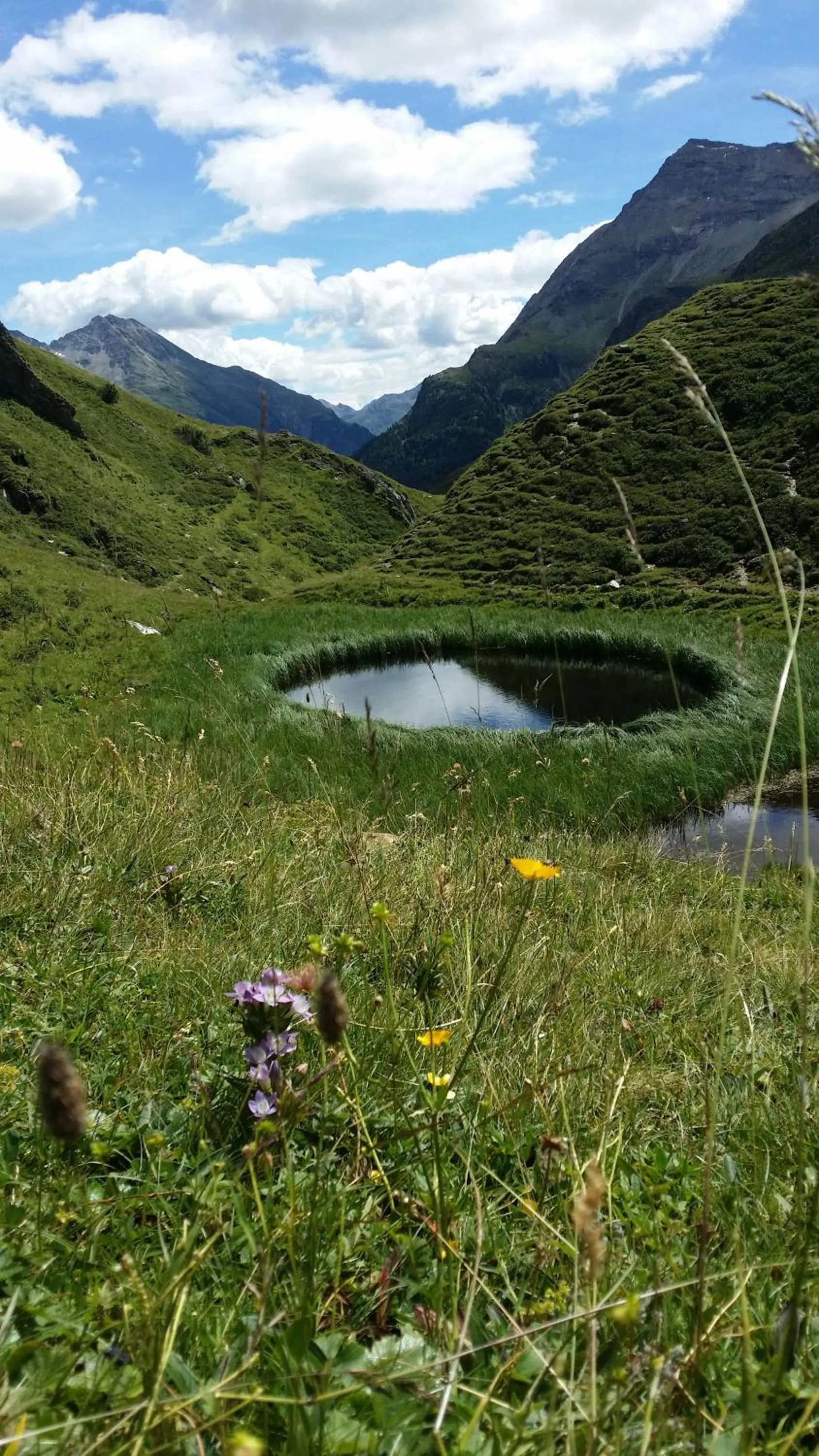 Hiking in Hotel Gasthof Edelweiß