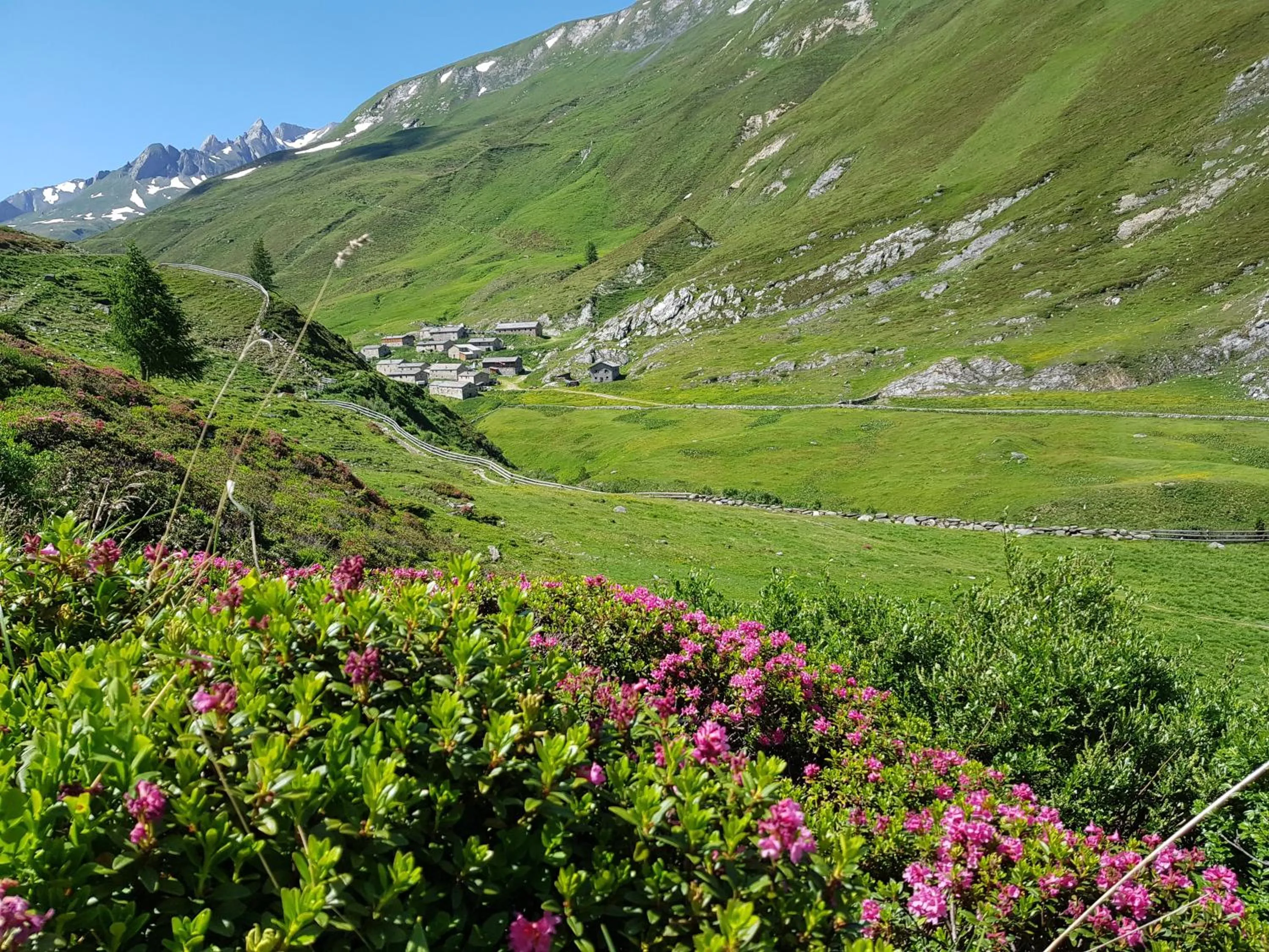 Natural landscape in Hotel Gasthof Edelweiß