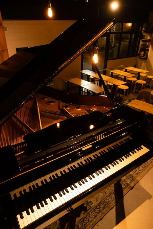 Tokyo Guest House Ouji Music Lounge