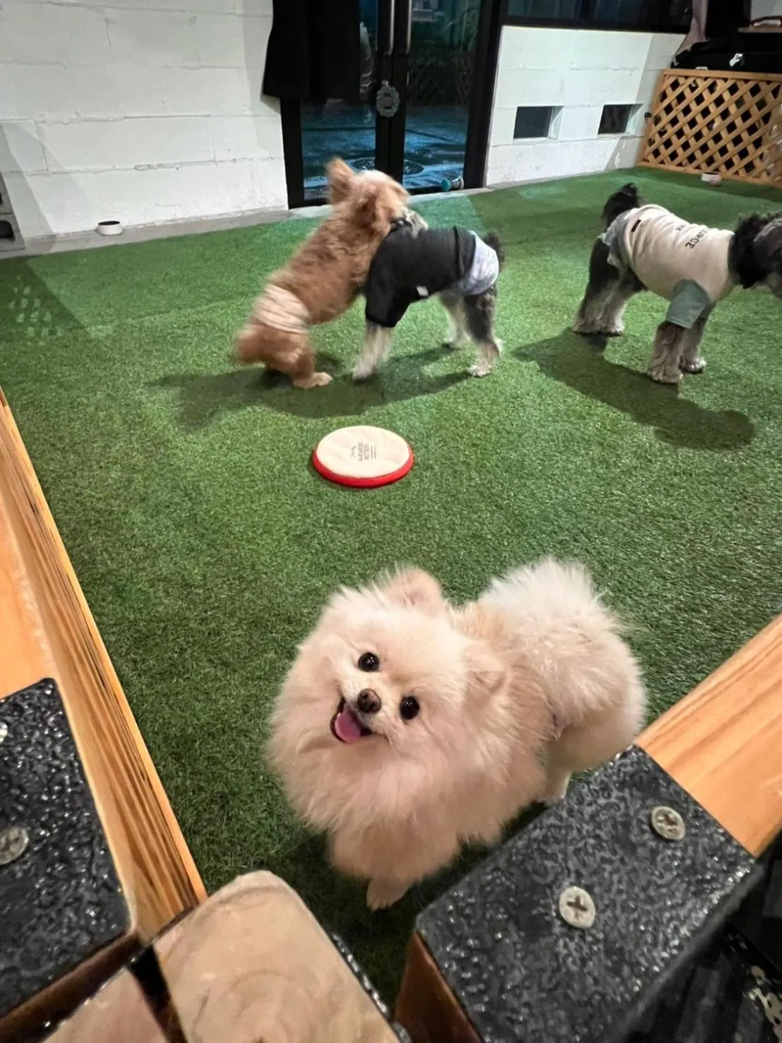 Tokyo Guest House Ouji Music Lounge