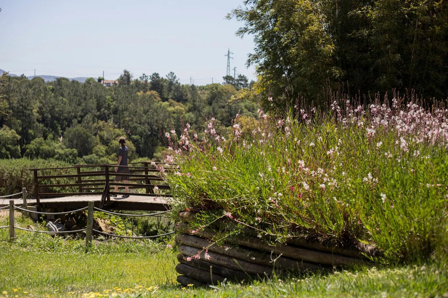 Garden in Herdade Do Freixial - Turismo Rural