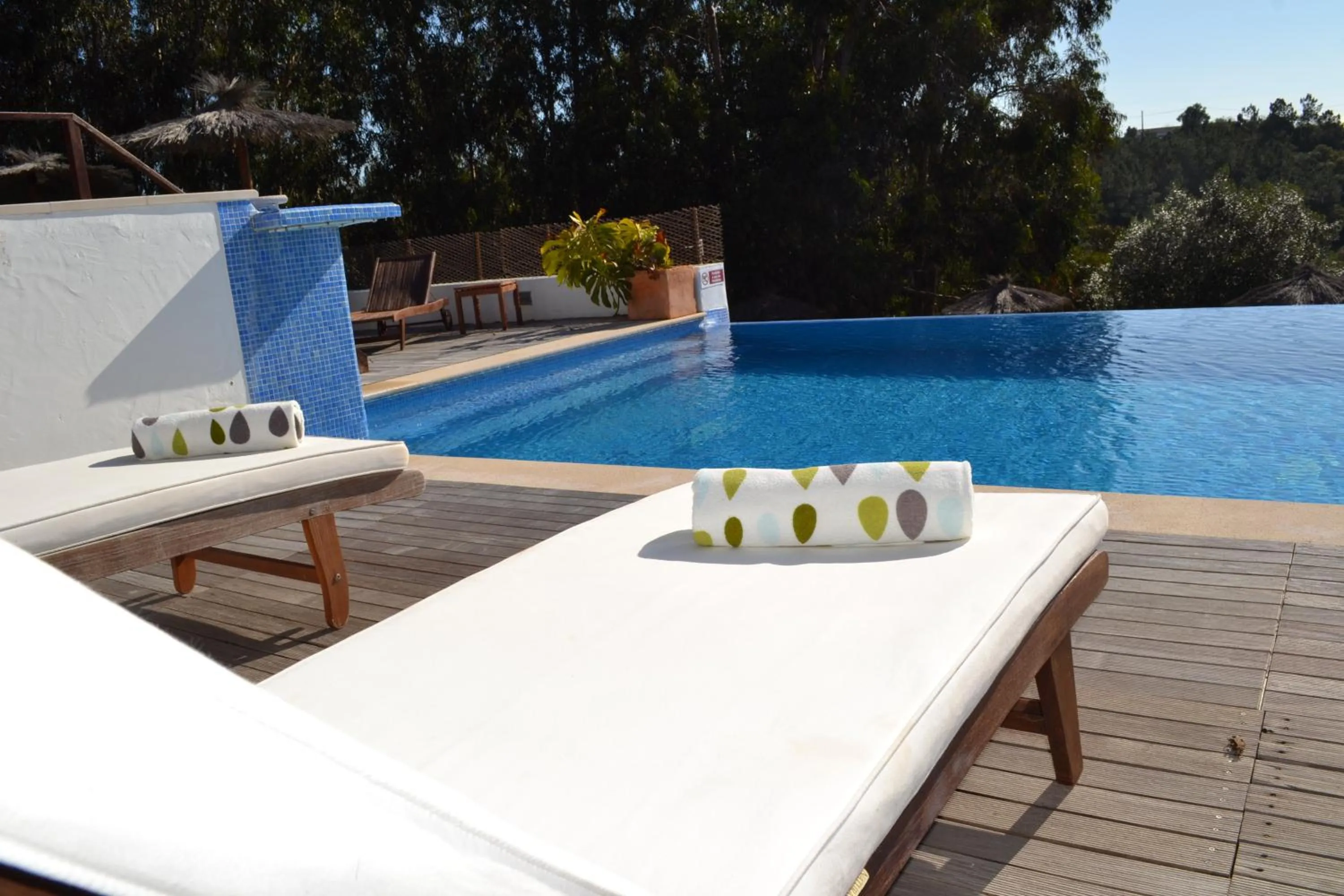 Swimming pool in Herdade Do Freixial - Turismo Rural