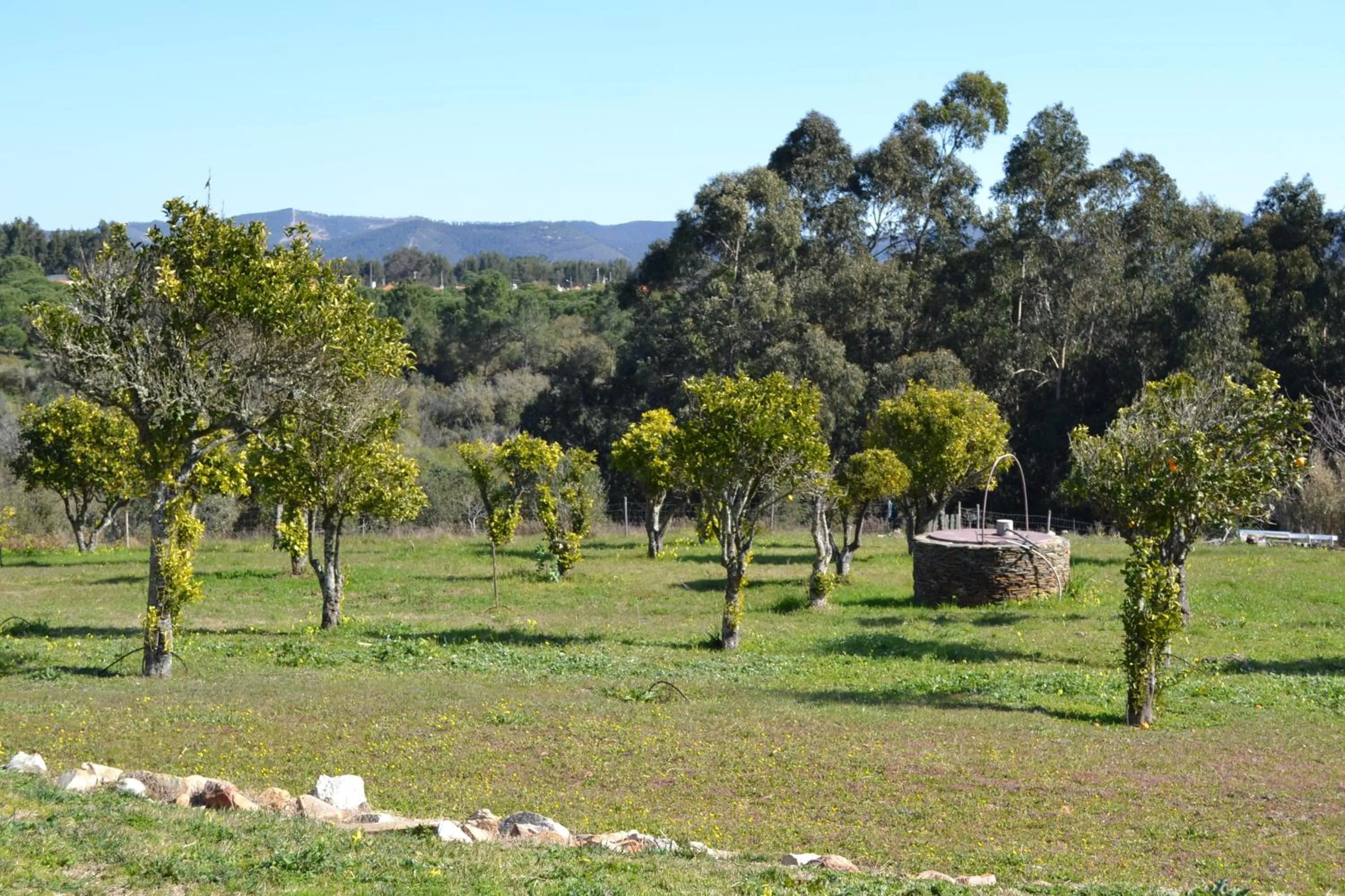 Garden in Herdade Do Freixial - Turismo Rural