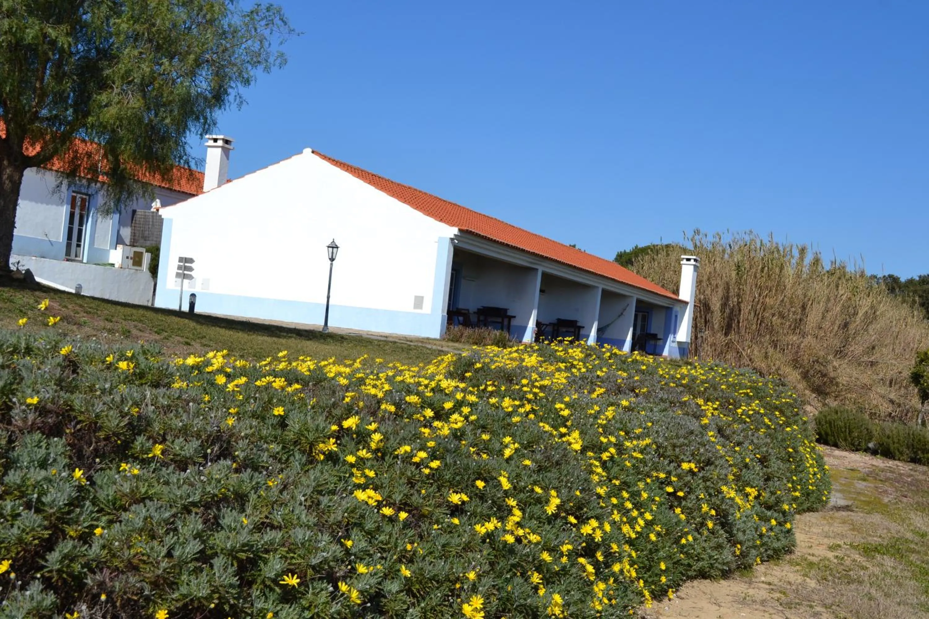 Garden in Herdade Do Freixial - Turismo Rural