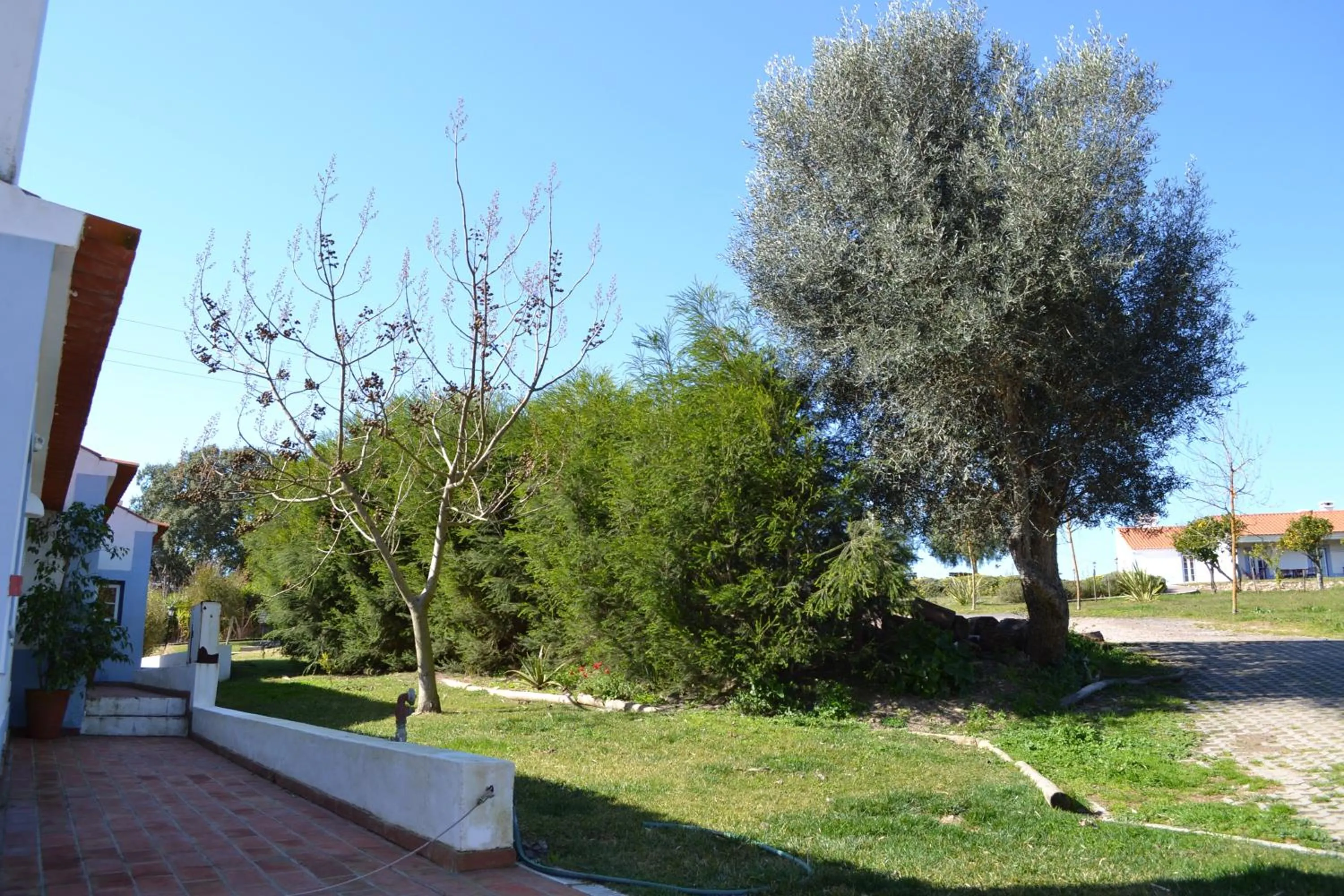 View (from property/room) in Herdade Do Freixial - Turismo Rural