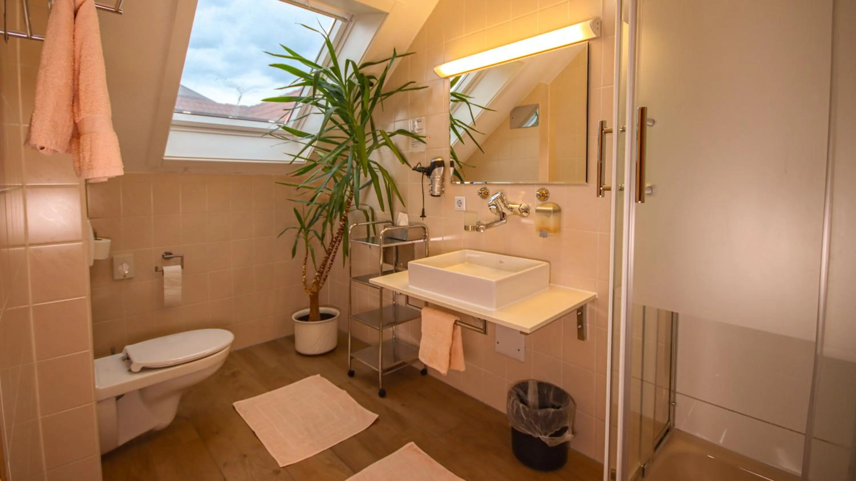 Bathroom in Hotel Fausel