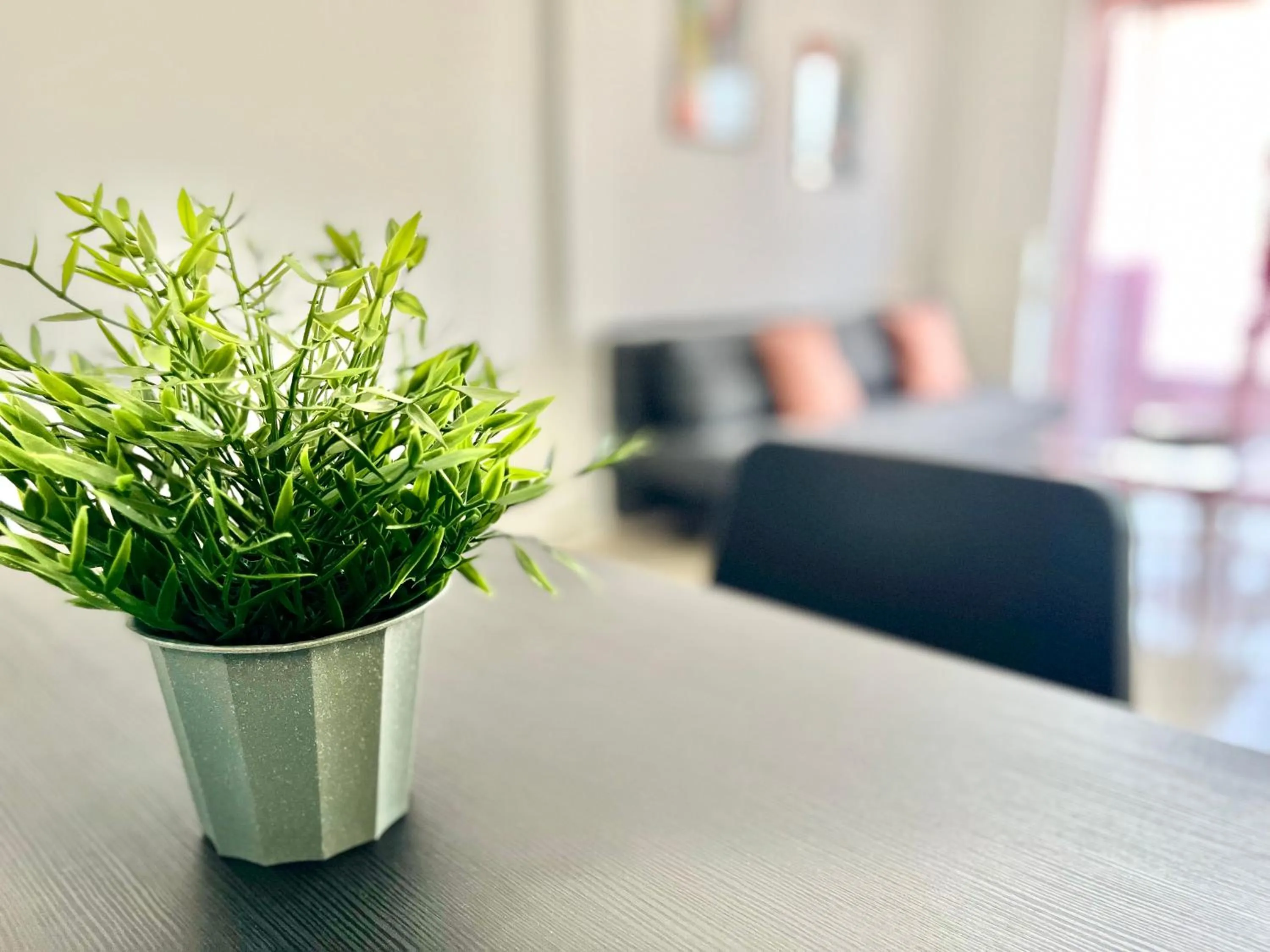 Decorative detail in Elvita Apartments 2