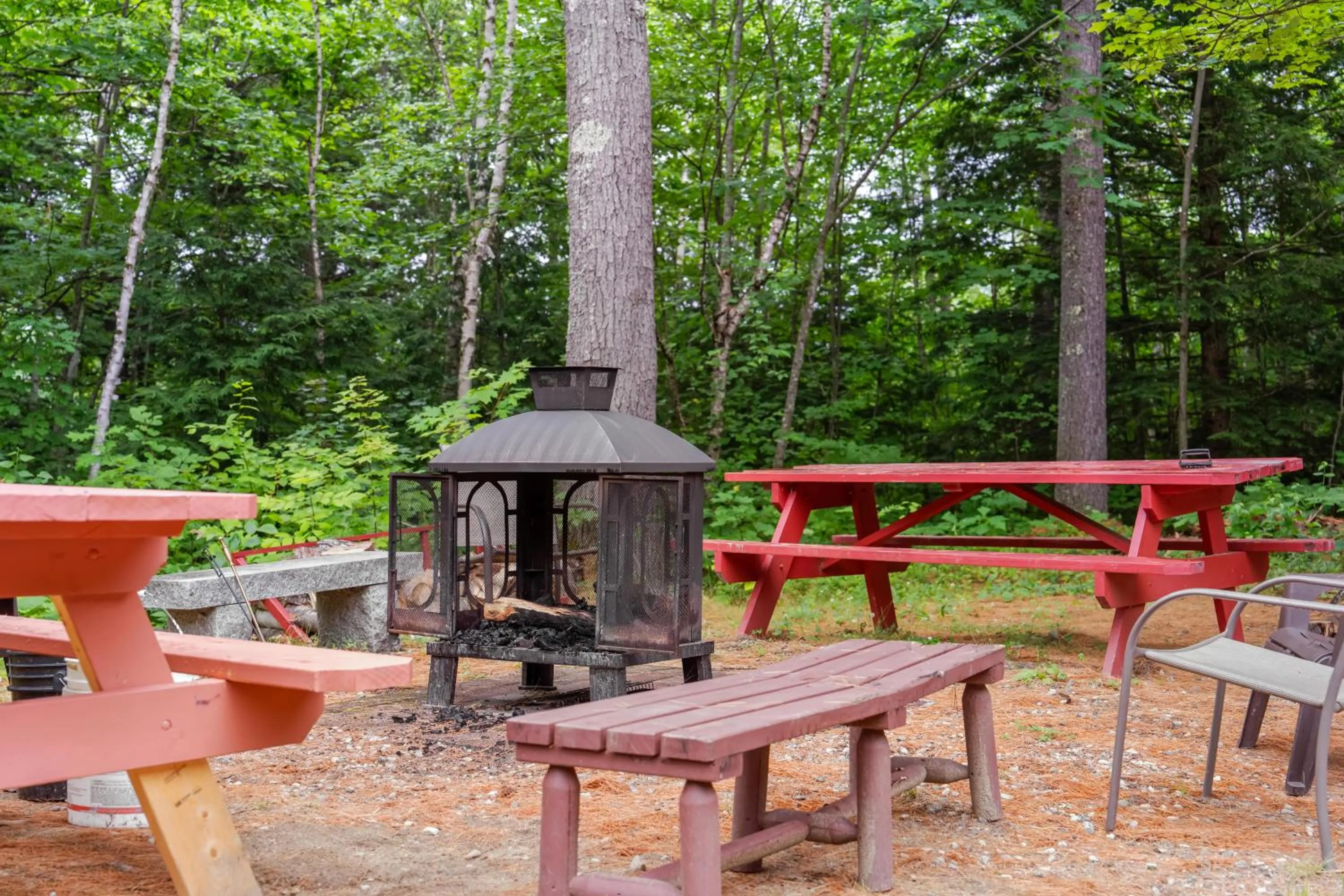 Natural landscape in Evergreen Valley Inn