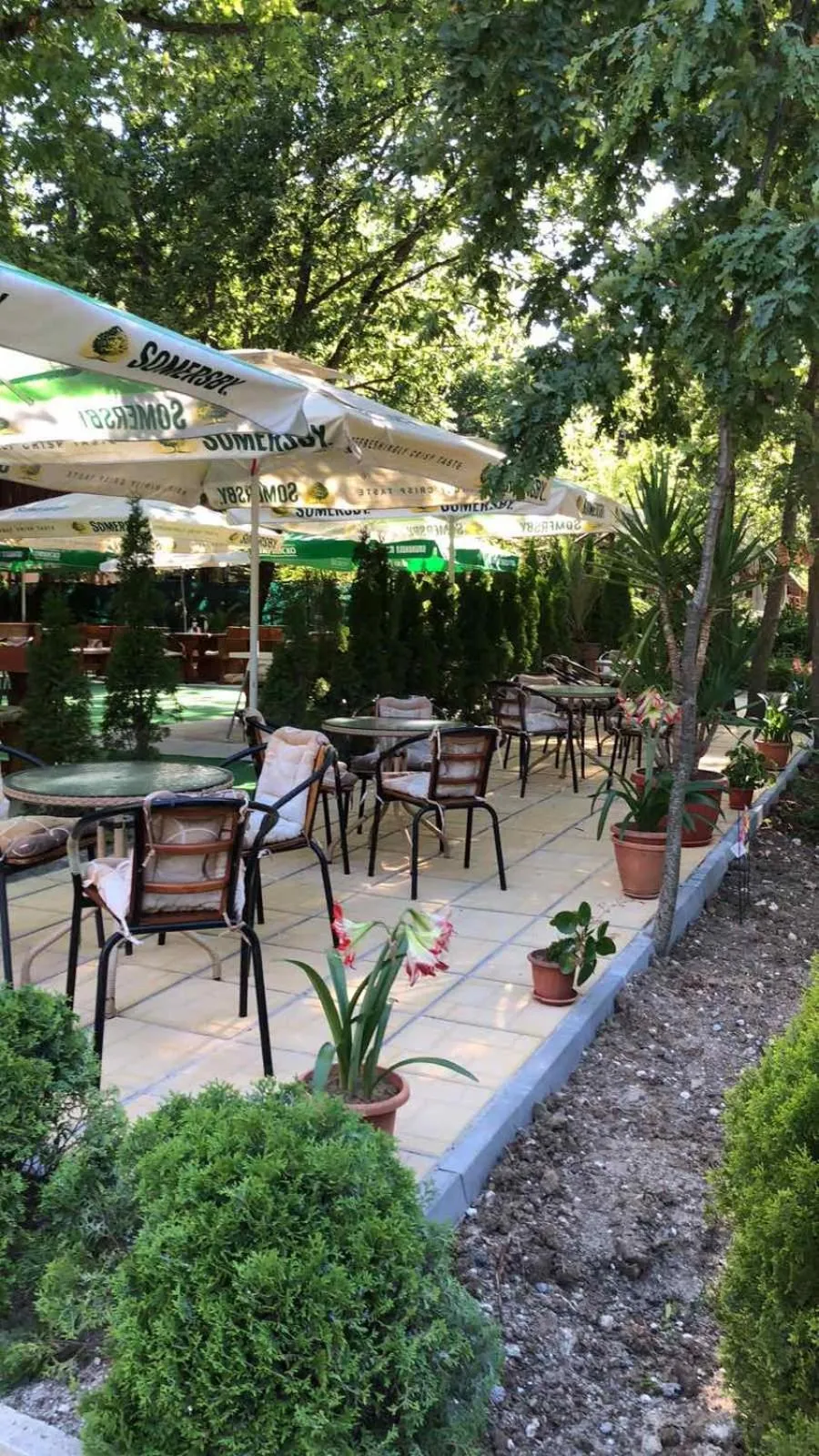 Restaurant/places to eat in Sunny Paradise Family Hotel