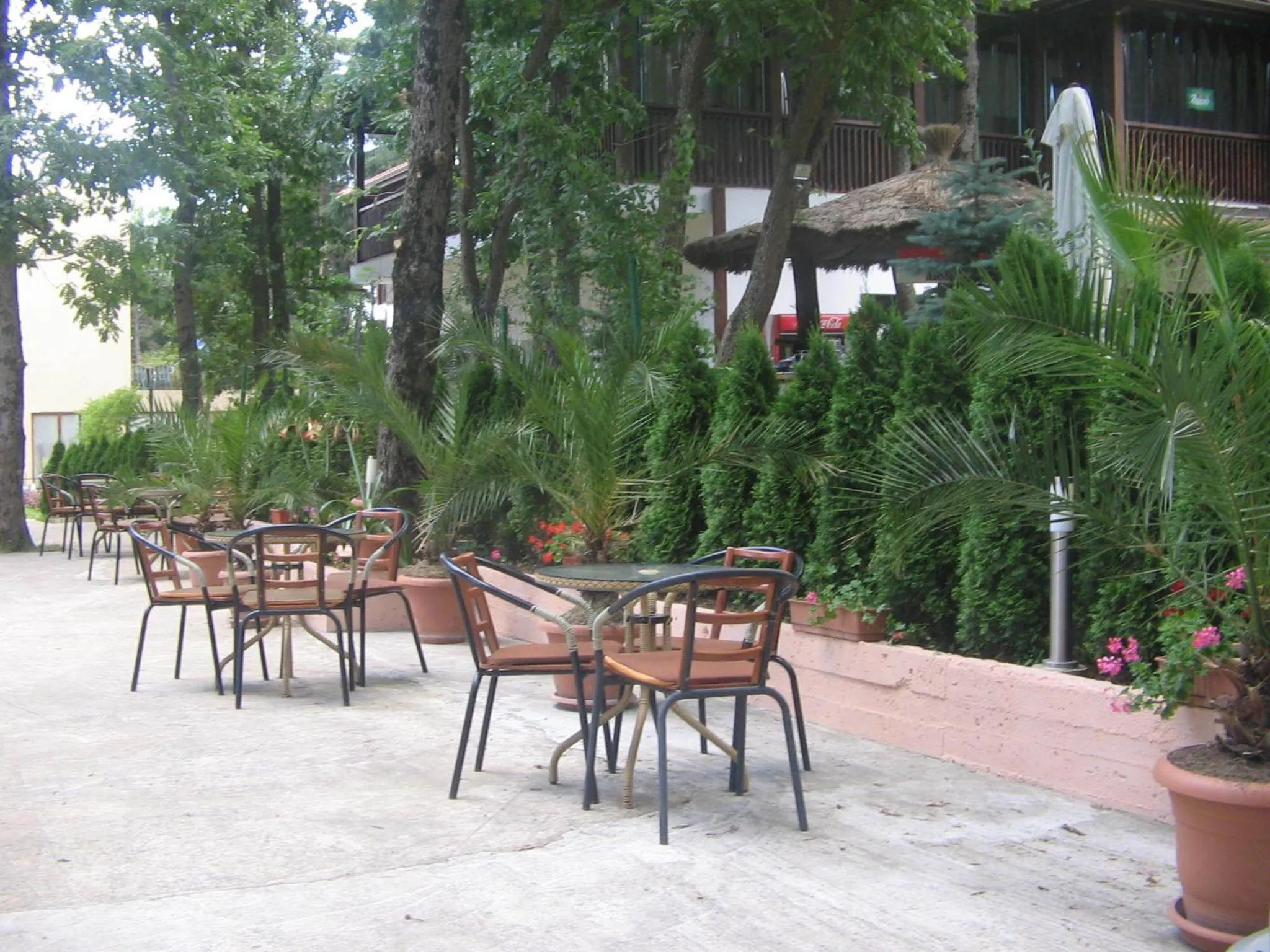 Balcony/Terrace in Sunny Paradise Family Hotel