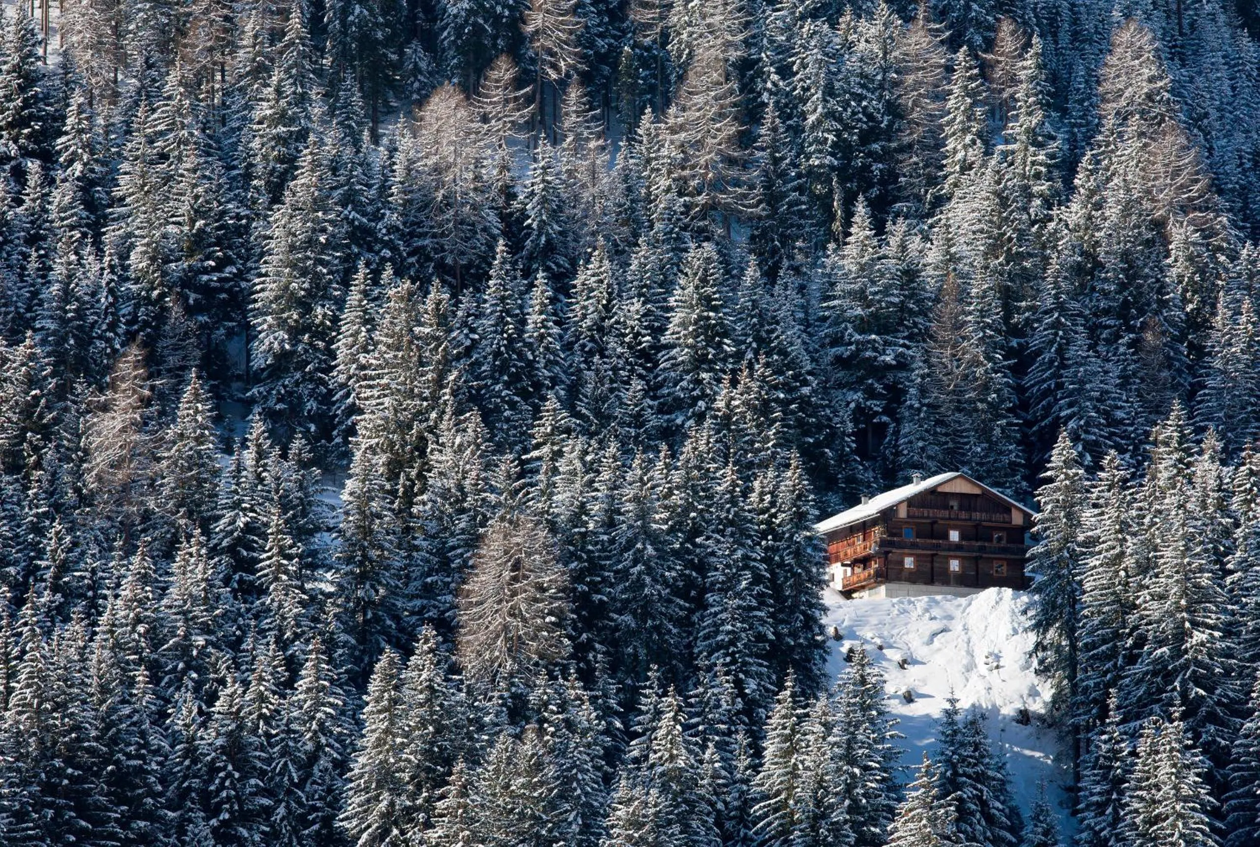 Natural landscape in Ferienpension Senfter