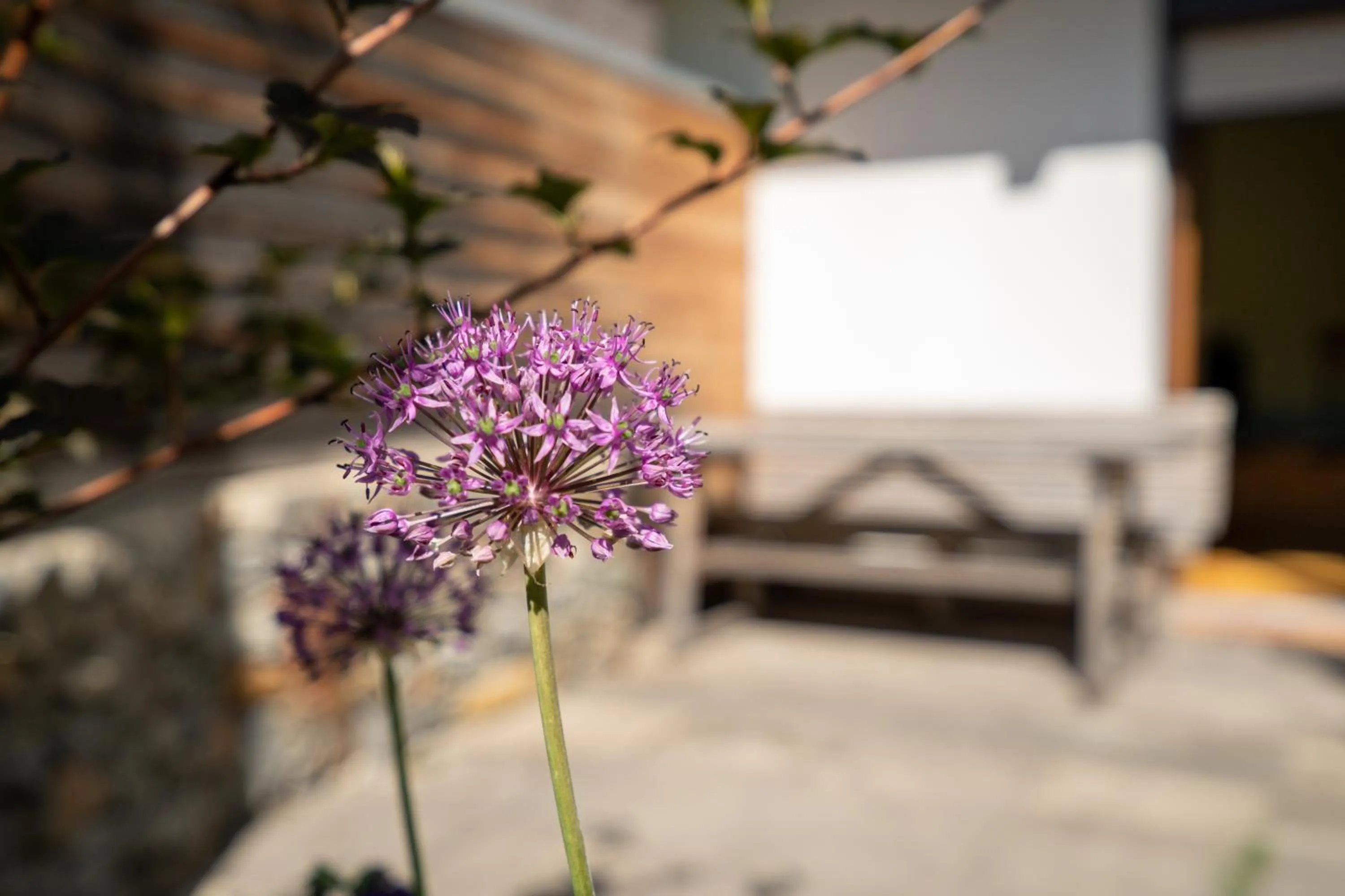 Ferienpension Senfter