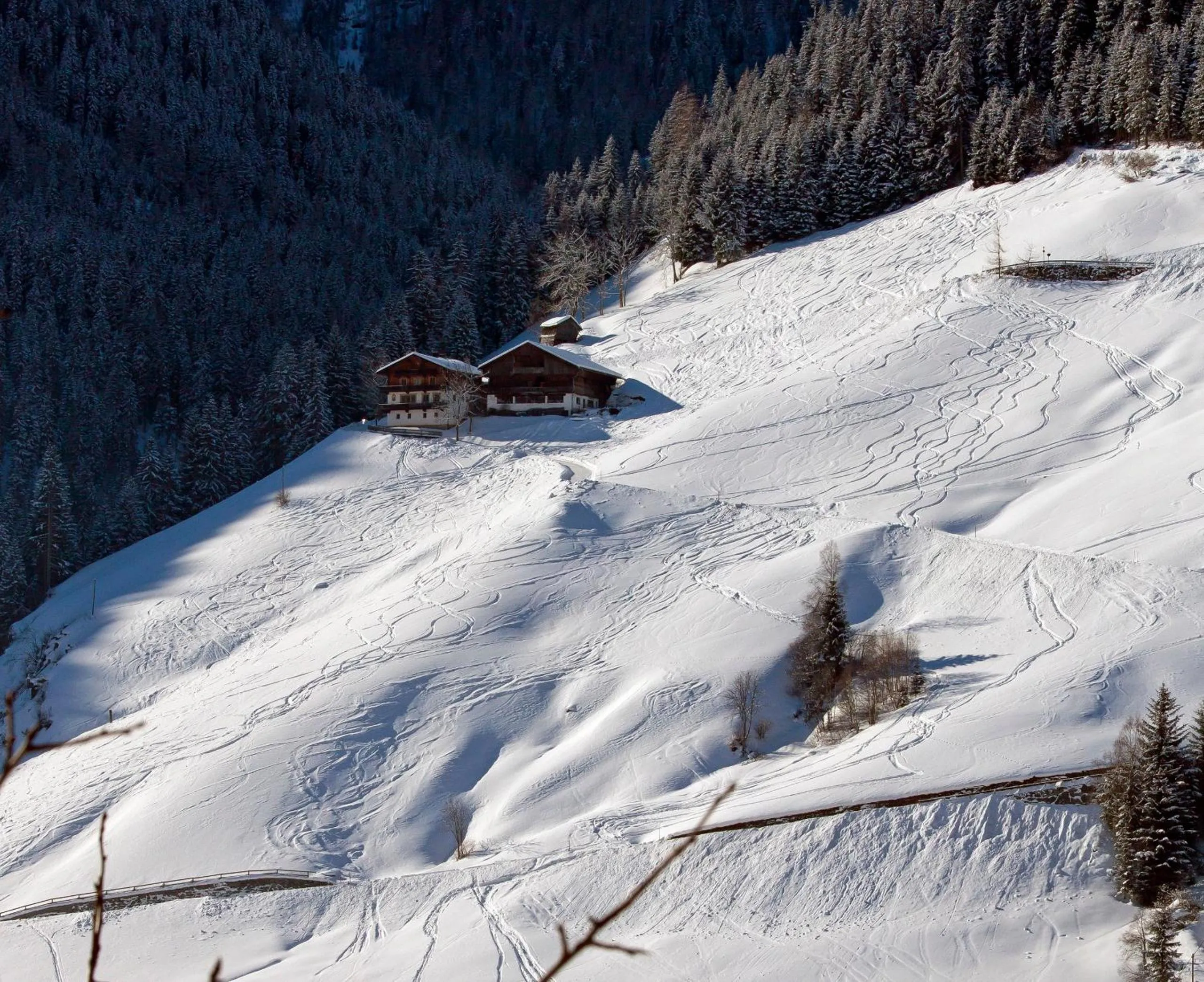 Winter in Ferienpension Senfter