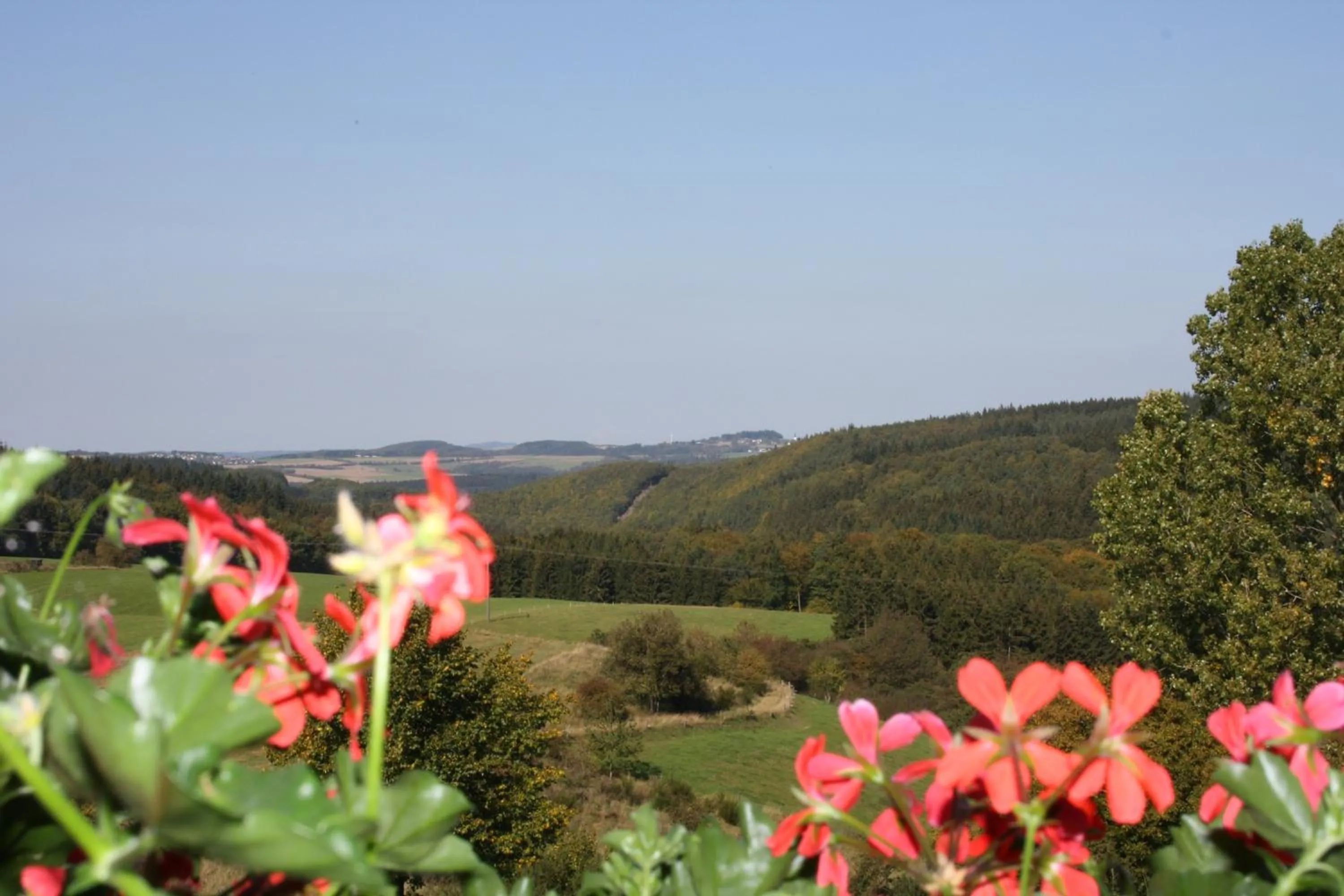 Natural landscape in Hotel Retterath am Nürburgring