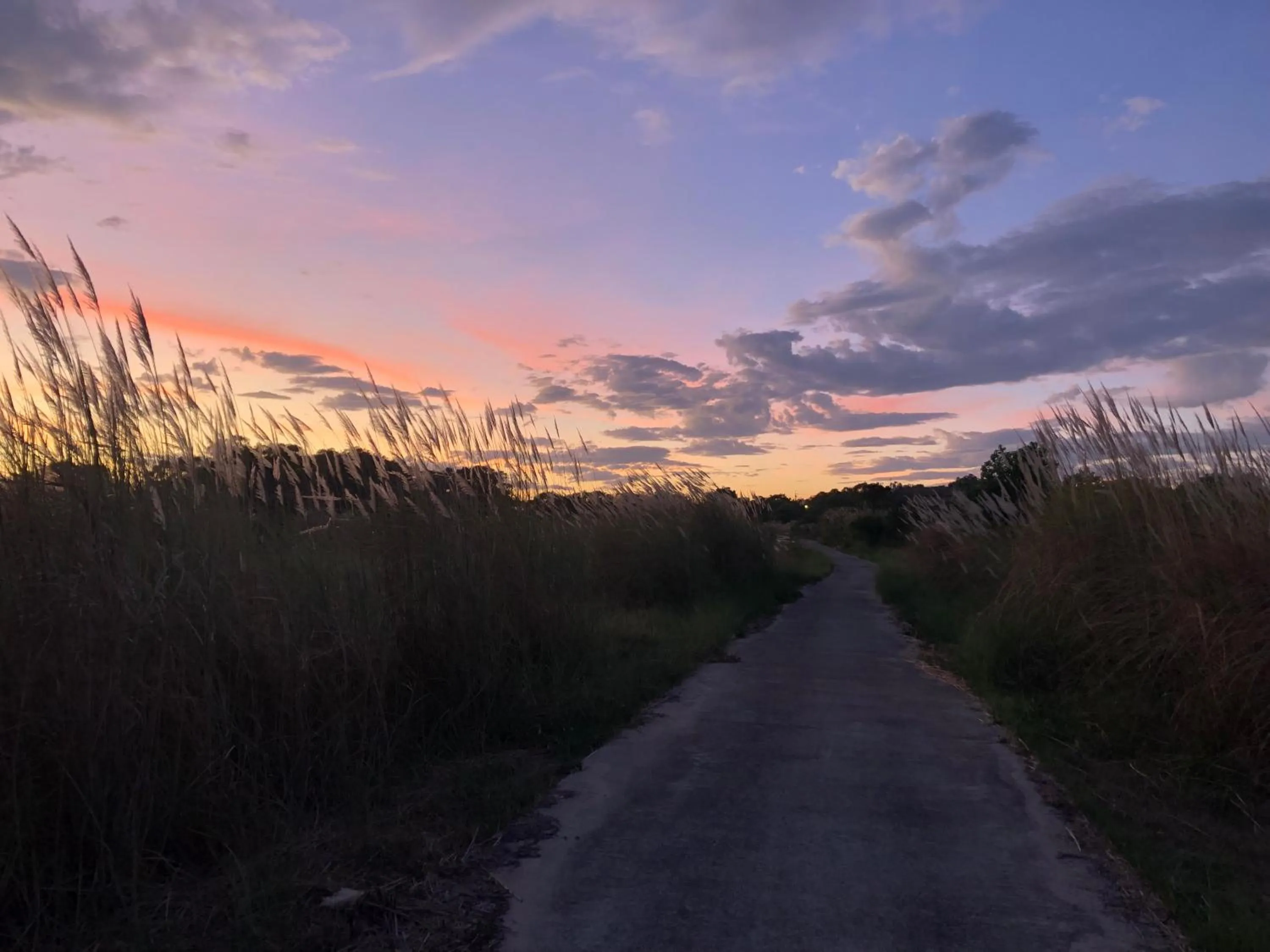 Time of day in Live Guest House