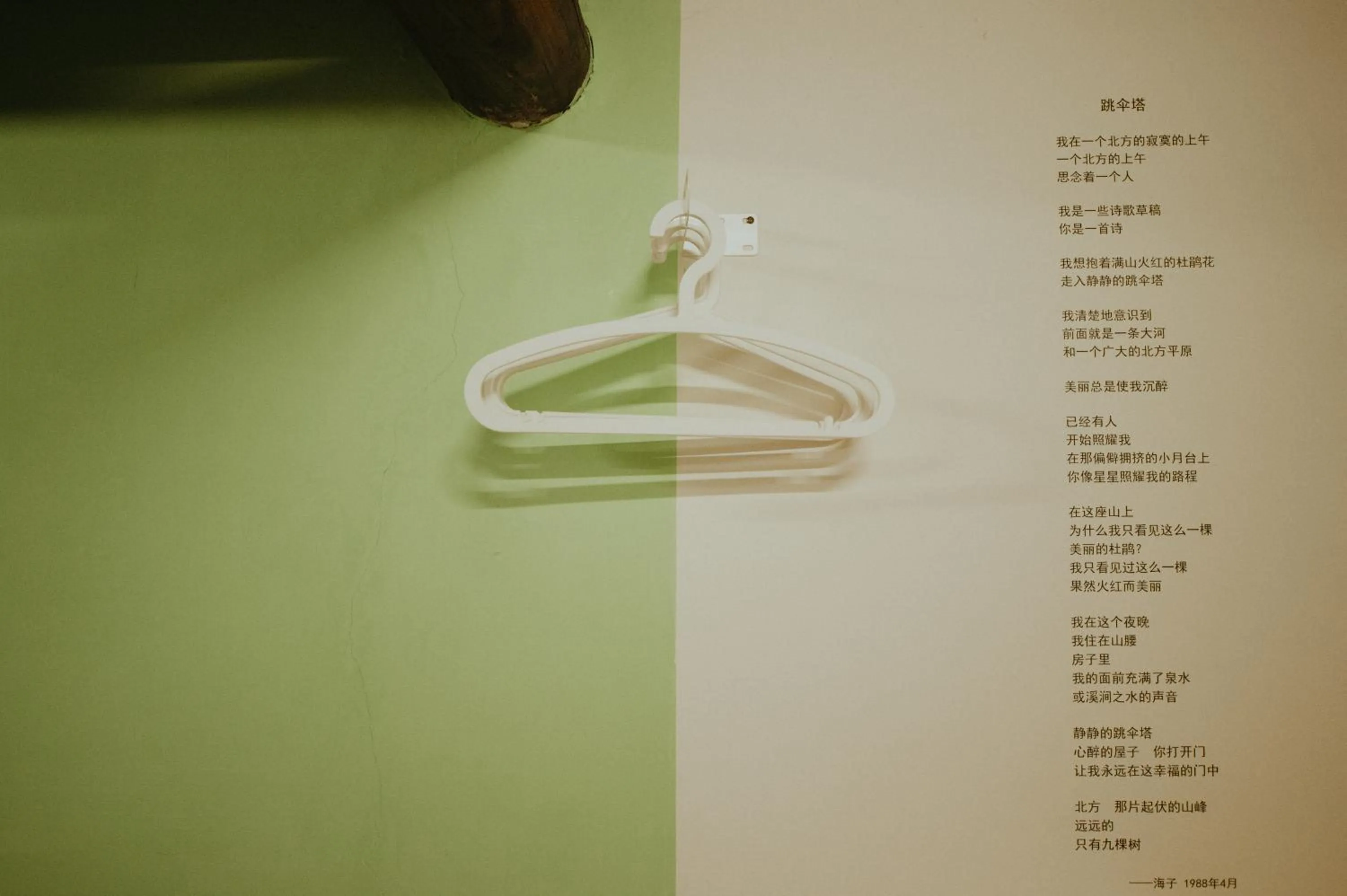 Photo of the whole room in Live Guest House