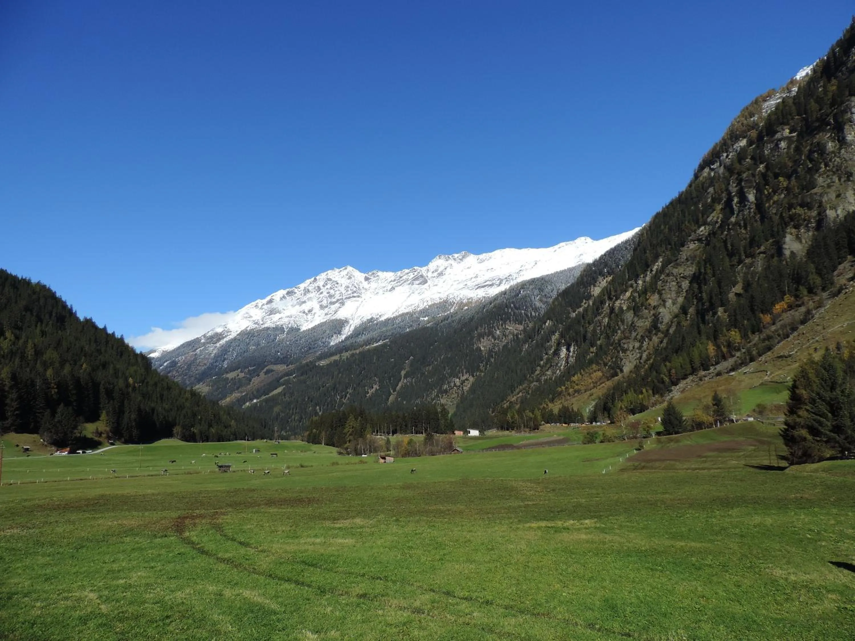 Mountain view in Haus Renate