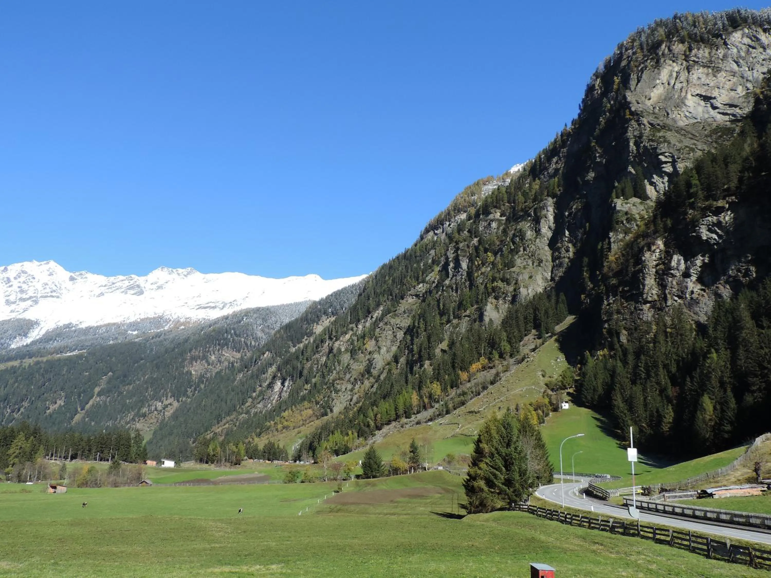 View (from property/room) in Haus Renate