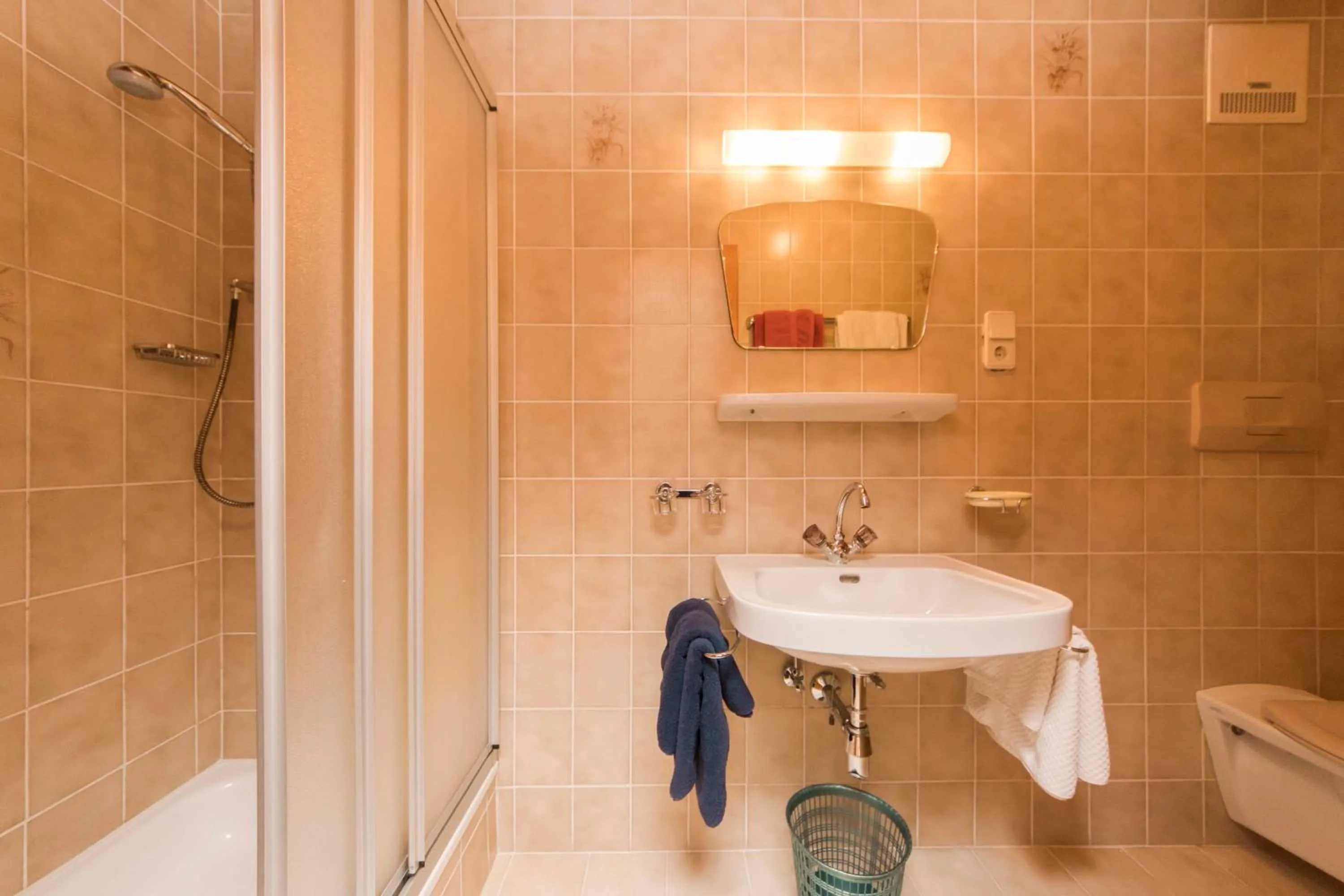 Shower in Haus Renate