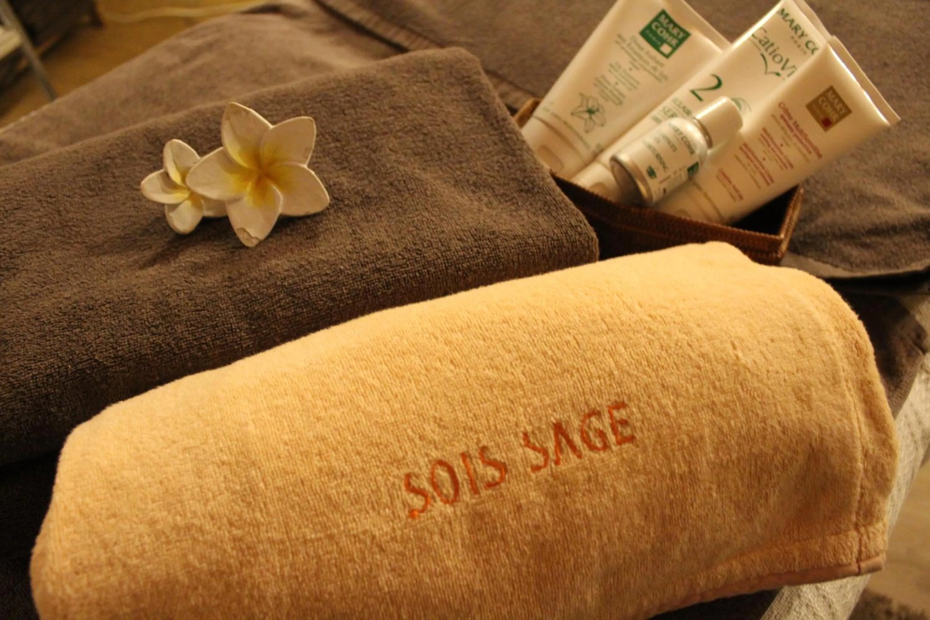 Spa and wellness centre/facilities in Hakone Yuyado Zen