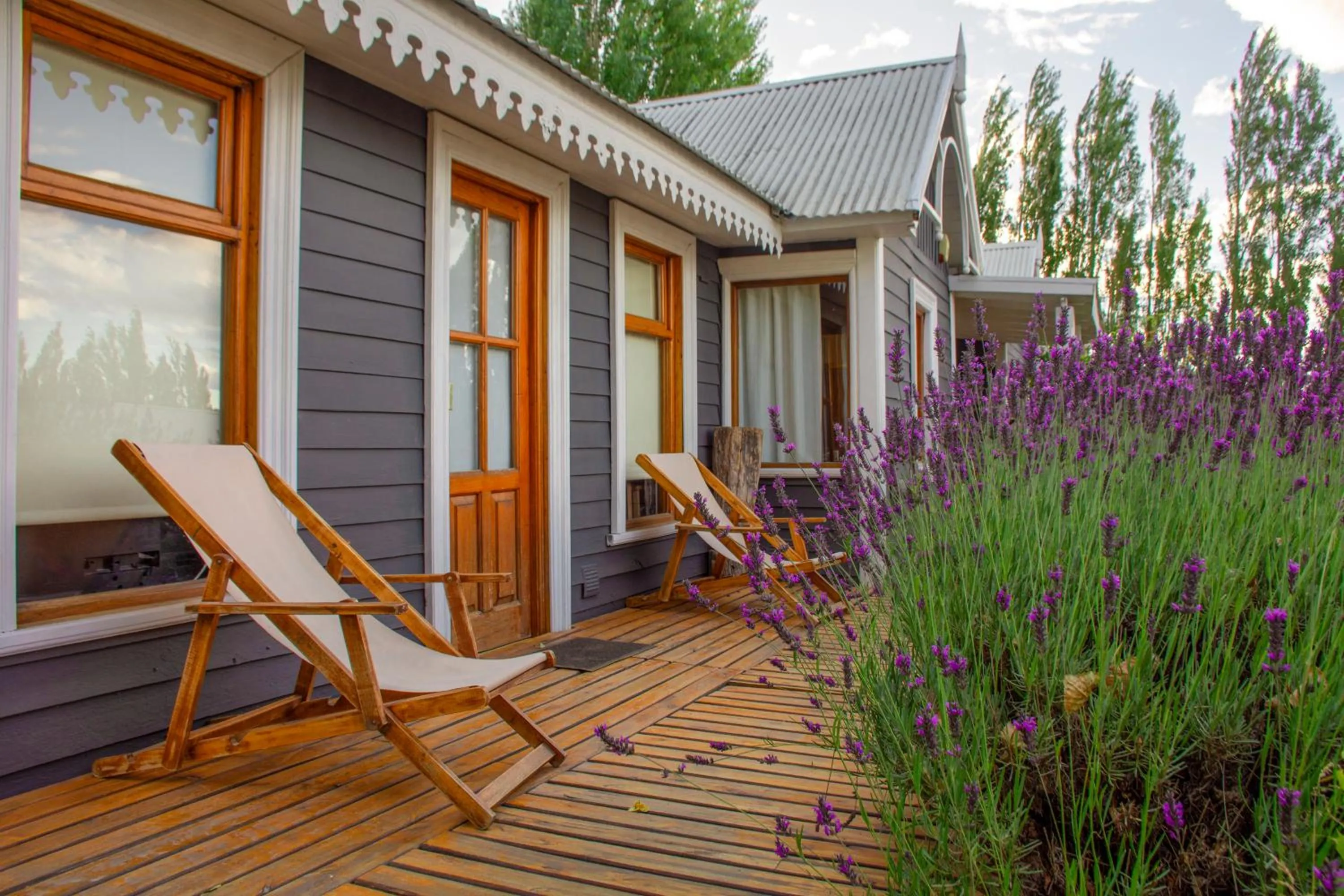 Patio in Los Ponchos Hotel