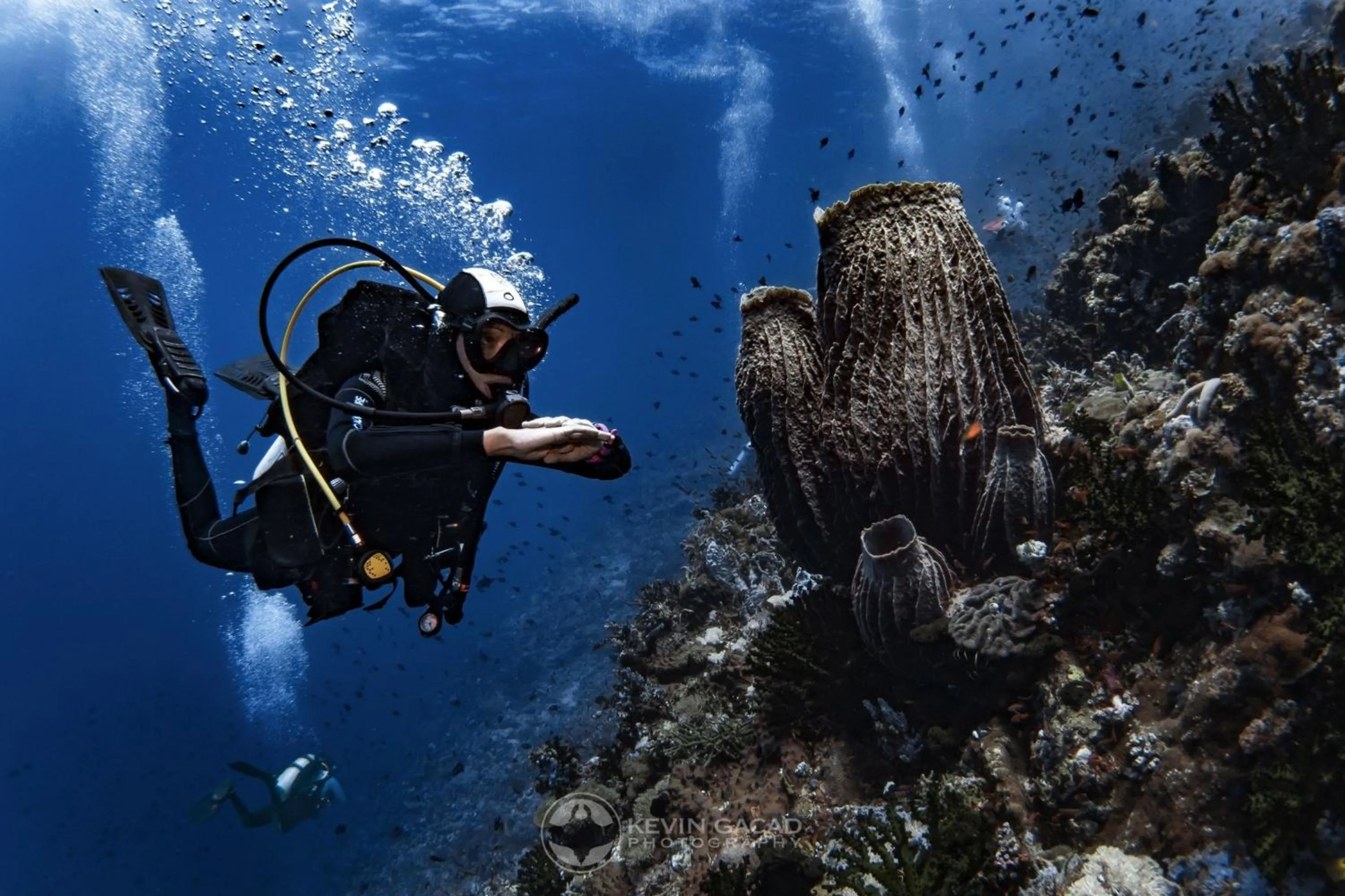 Diving in Badladz Staycation Condos