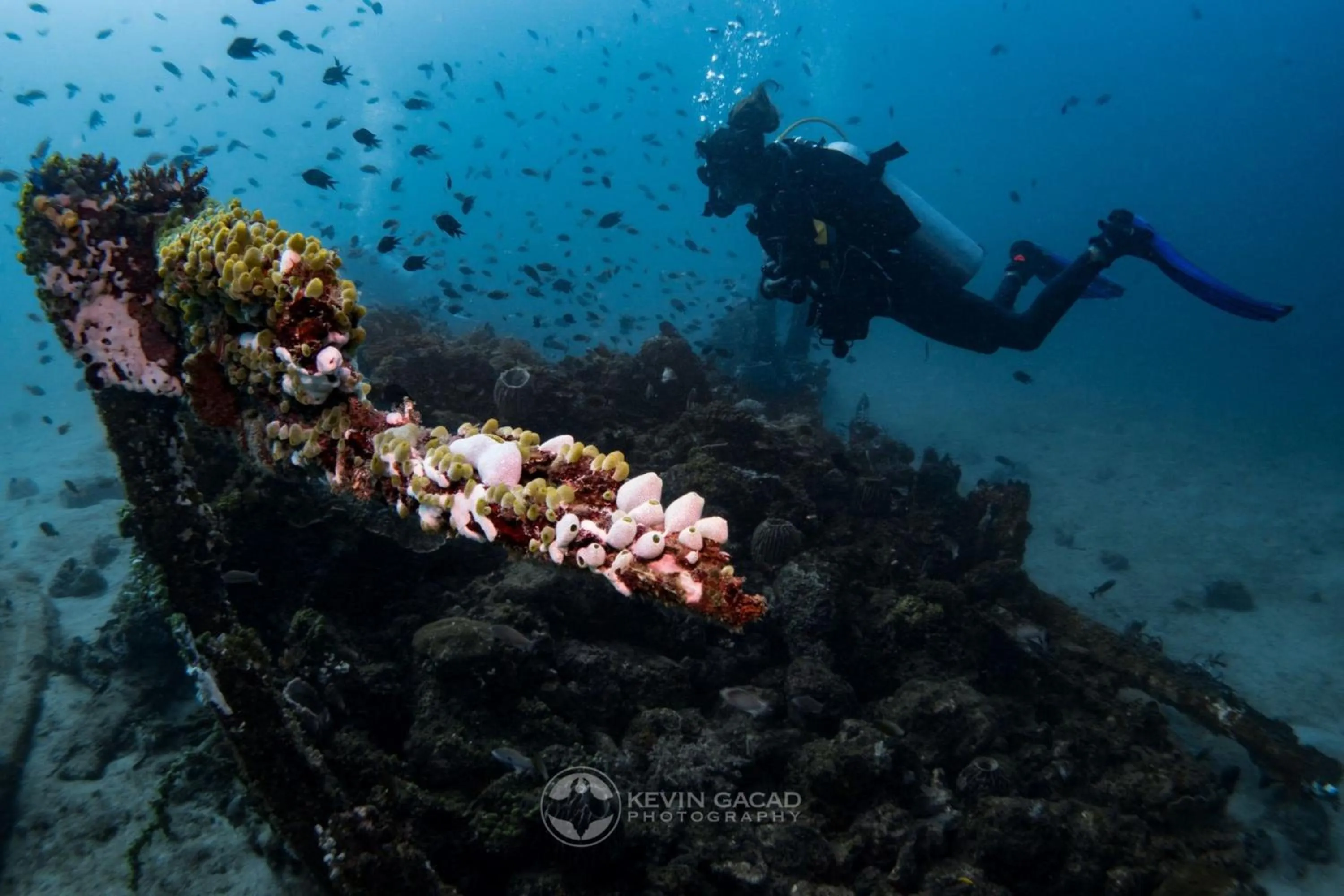 Diving in Badladz Staycation Condos