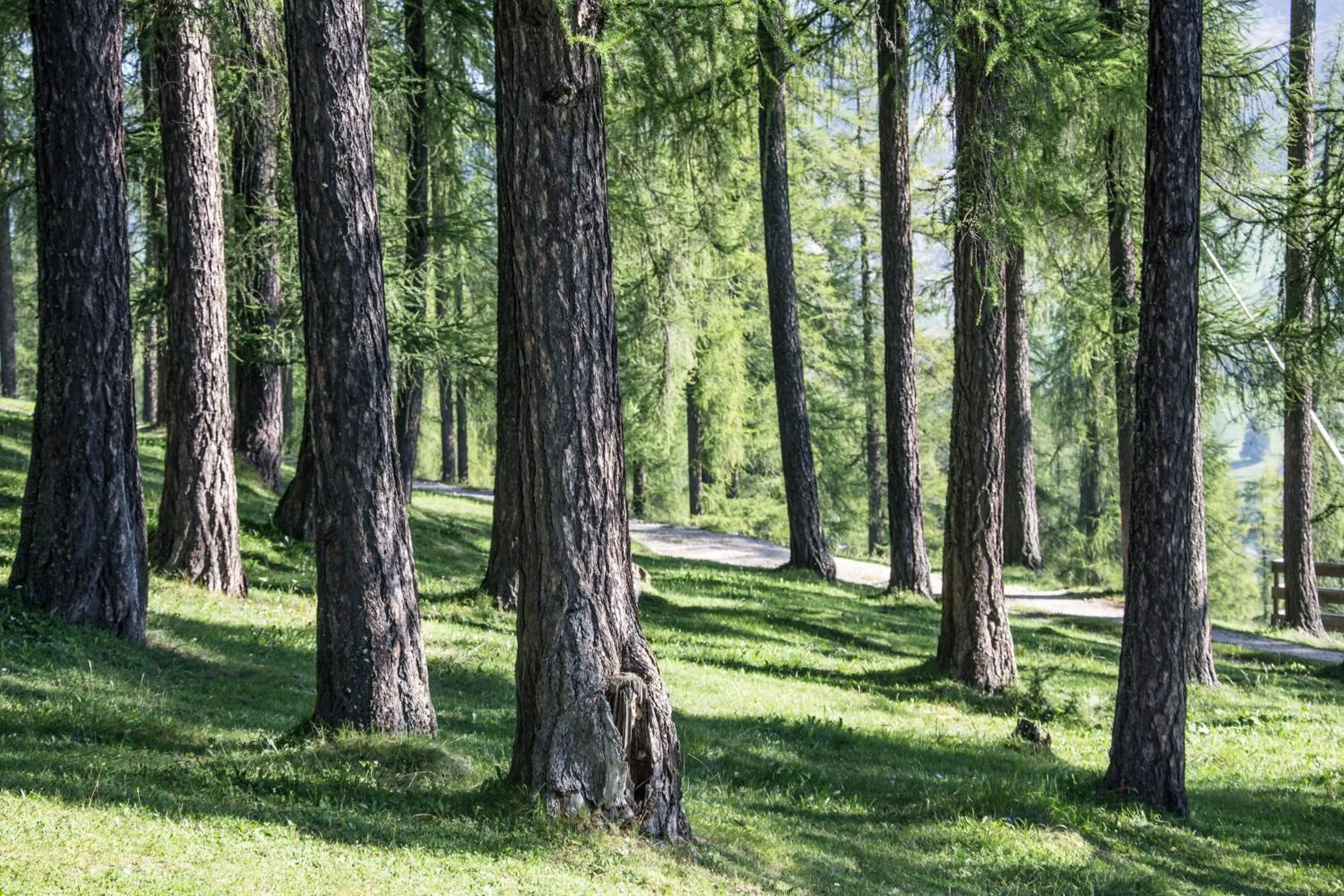Day in B&B Tamarindo