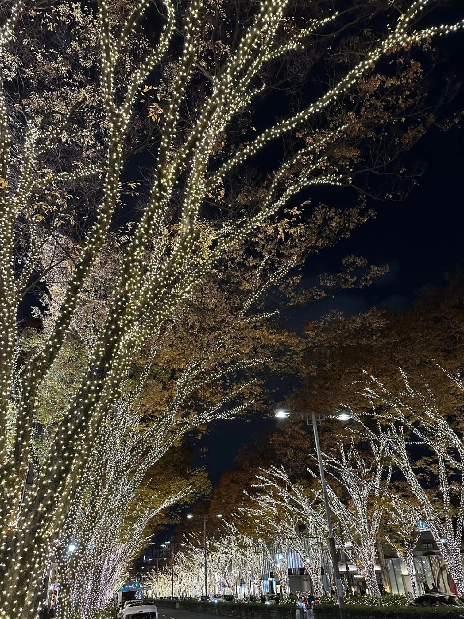 Neighbourhood in Tokyu Stay Aoyama Premier