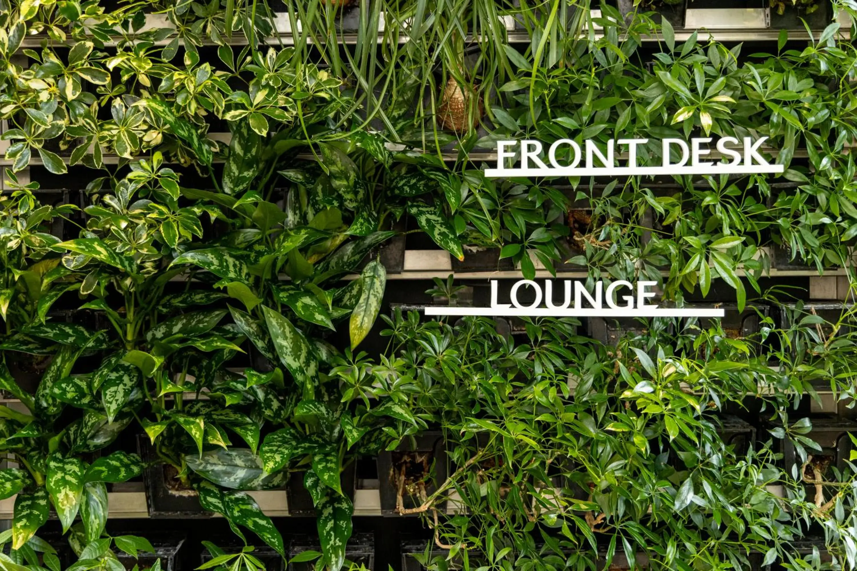 Lobby or reception in Tokyu Stay Aoyama Premier Lobby or reception in Tokyu Stay Aoyama Premier