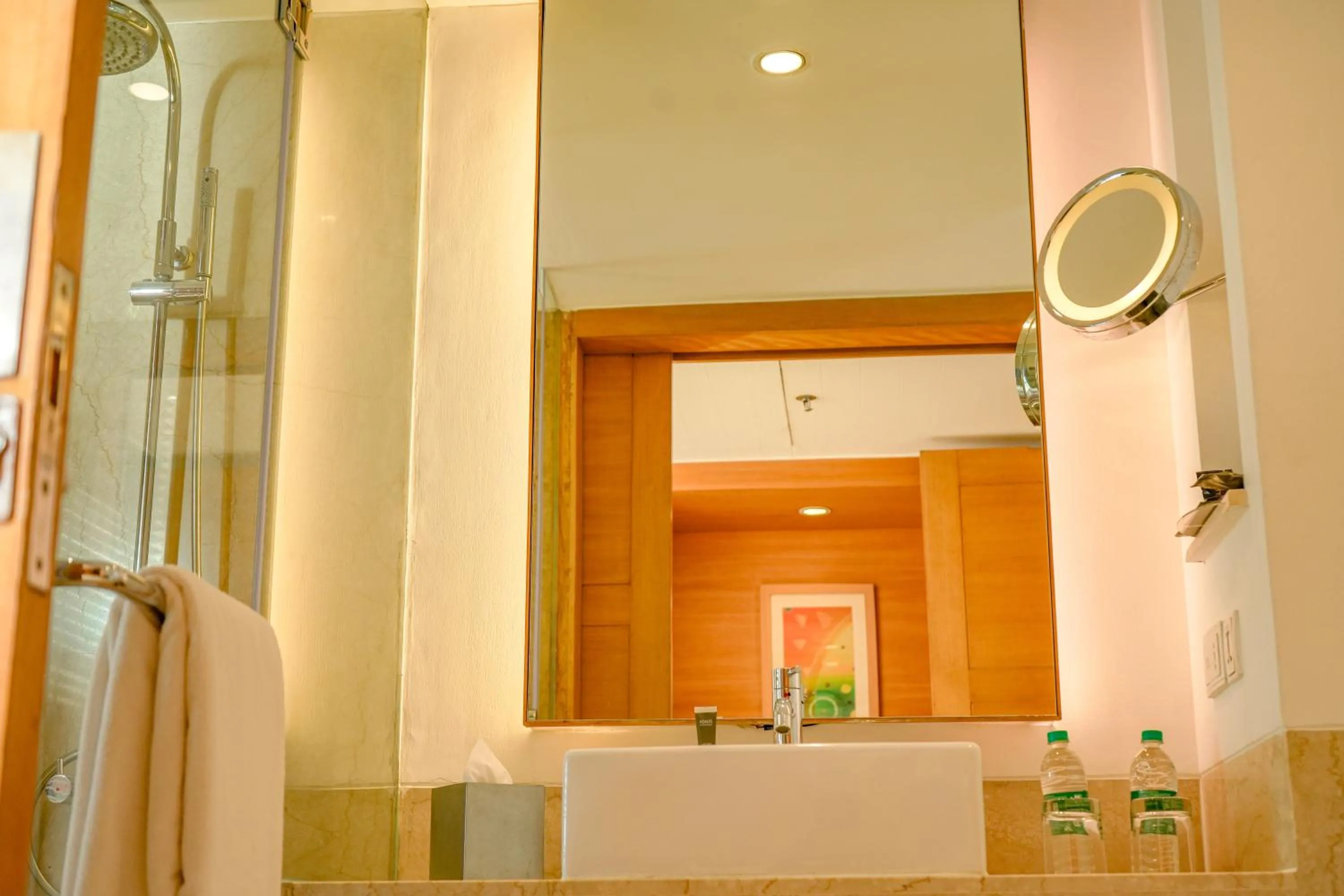 Shower in Courtyard by Marriott Gurugram Downtown