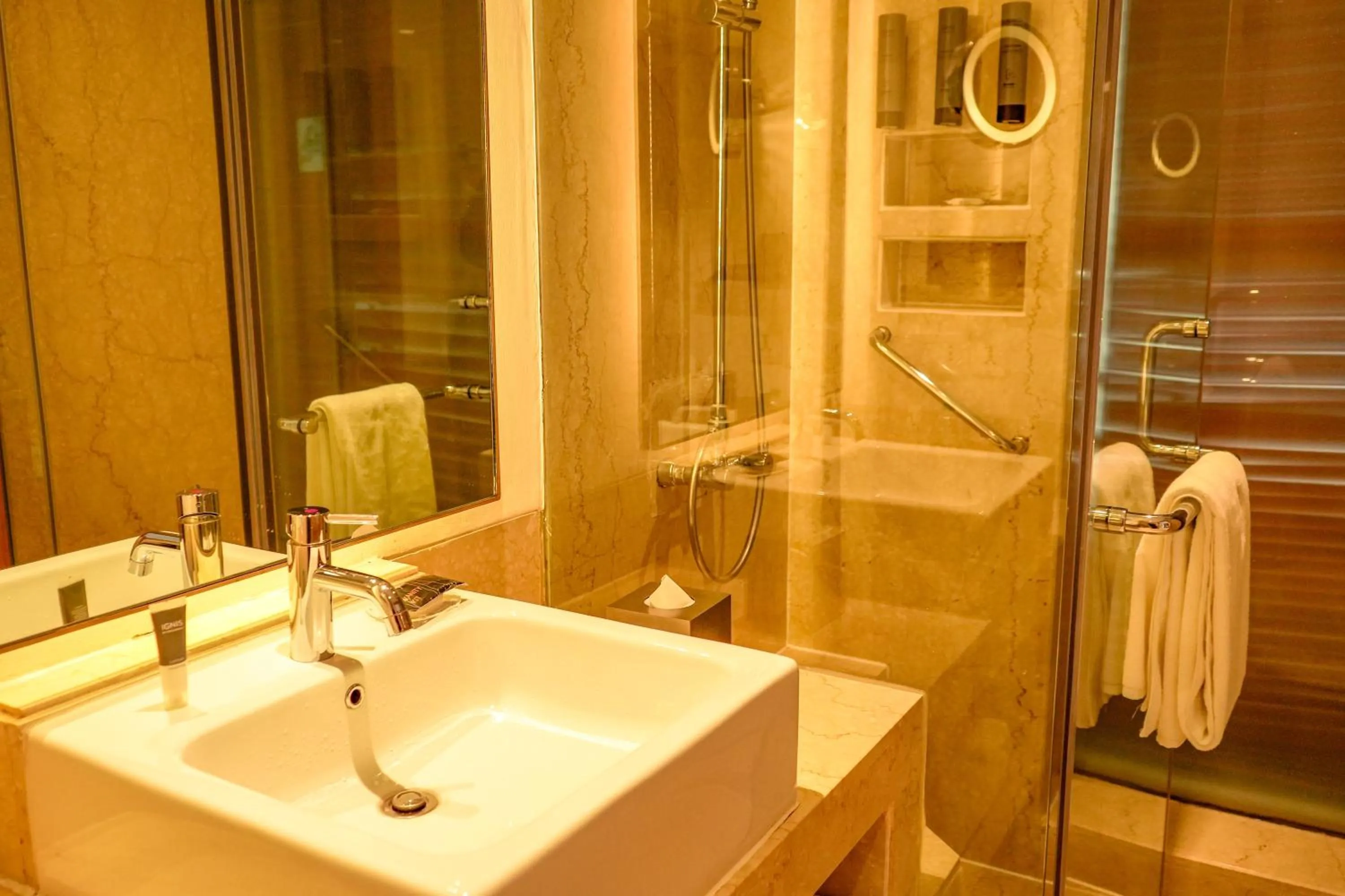 Shower in Courtyard by Marriott Gurugram Downtown
