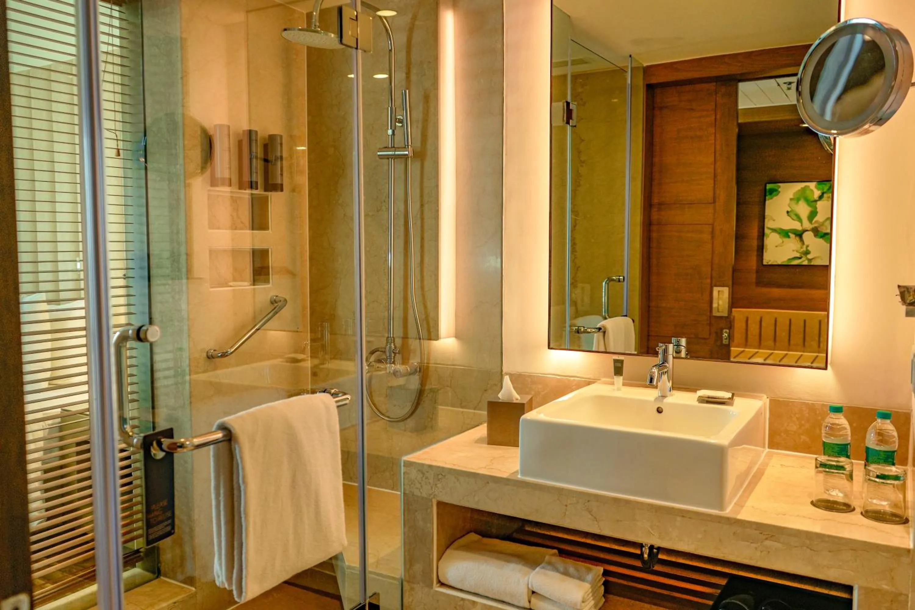 Shower in Courtyard by Marriott Gurugram Downtown