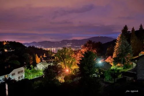 Hotel Villa Rosy