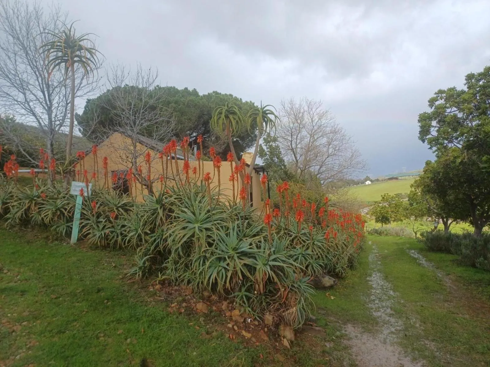 Facade/entrance in Swaynekloof Farm